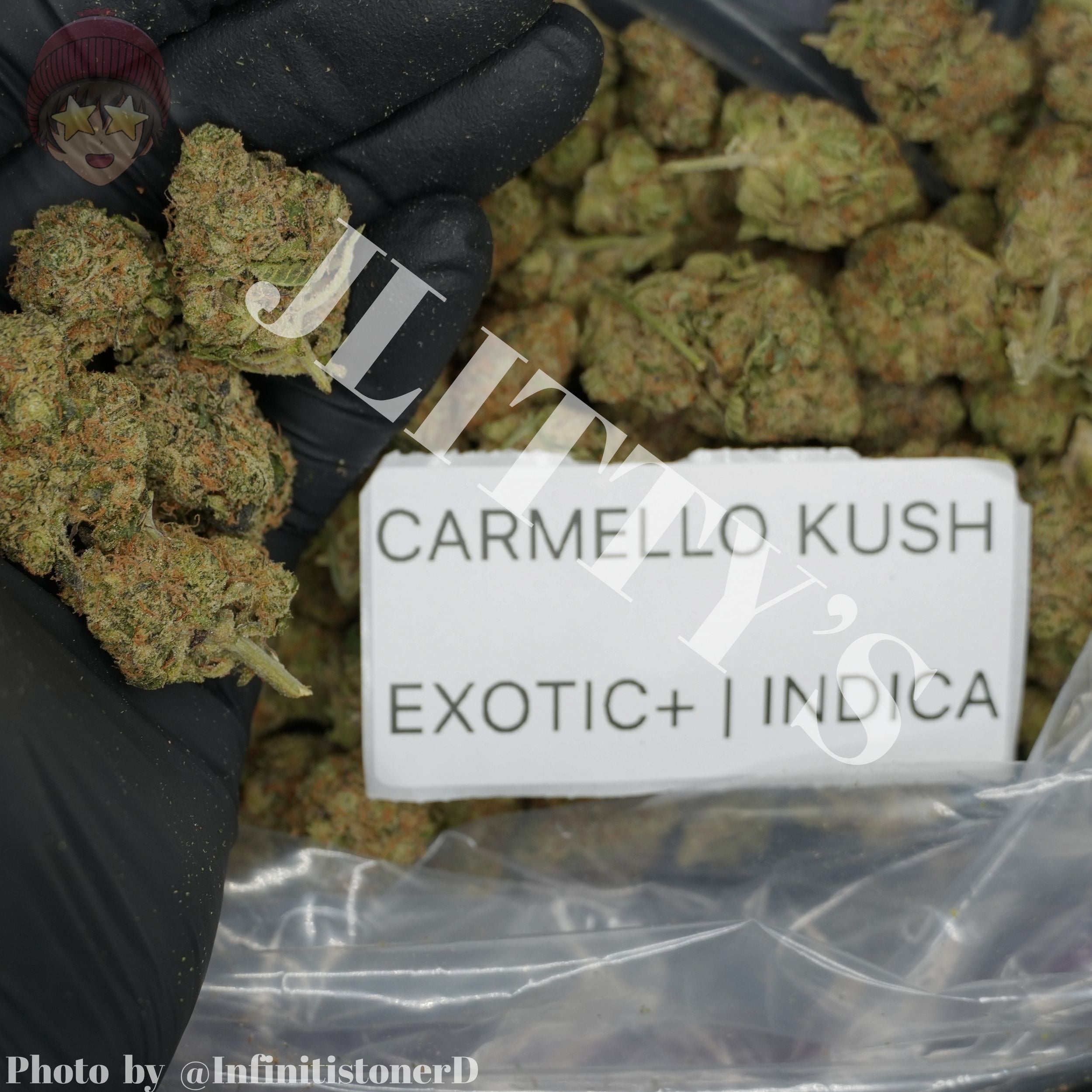 TOP SHELF EXOTICS