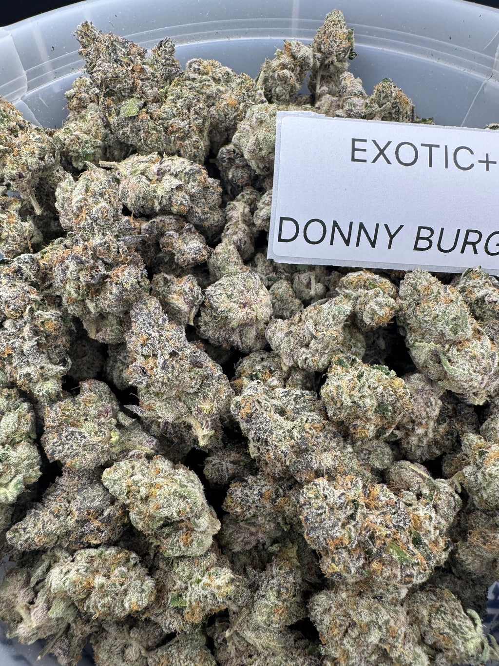 TOP SHELF EXOTICS