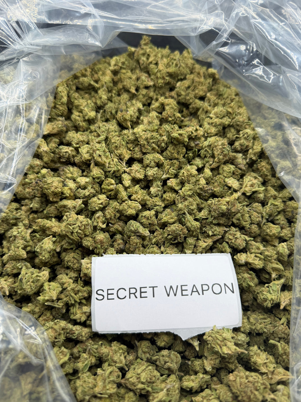 *SALE* SMALLS AND MEDIUMS