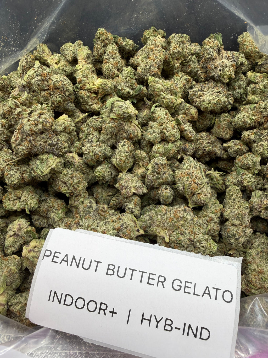 J Litty’s Weekly Deals!