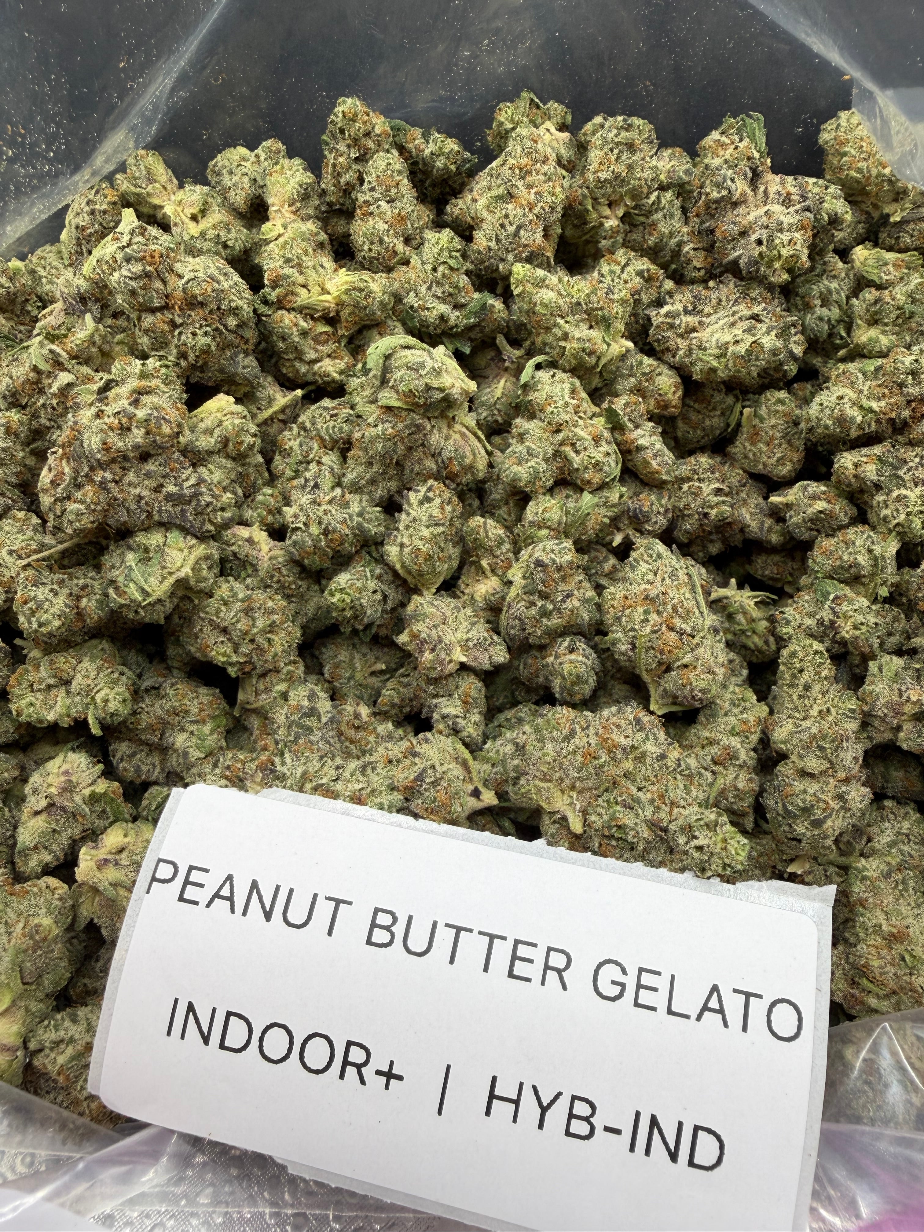J Litty’s Weekly Deals!