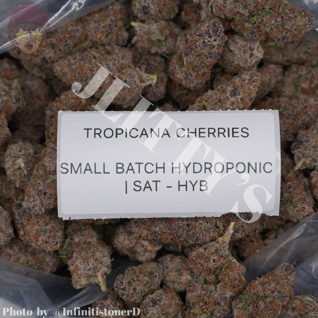 TOP SHELF EXOTICS
