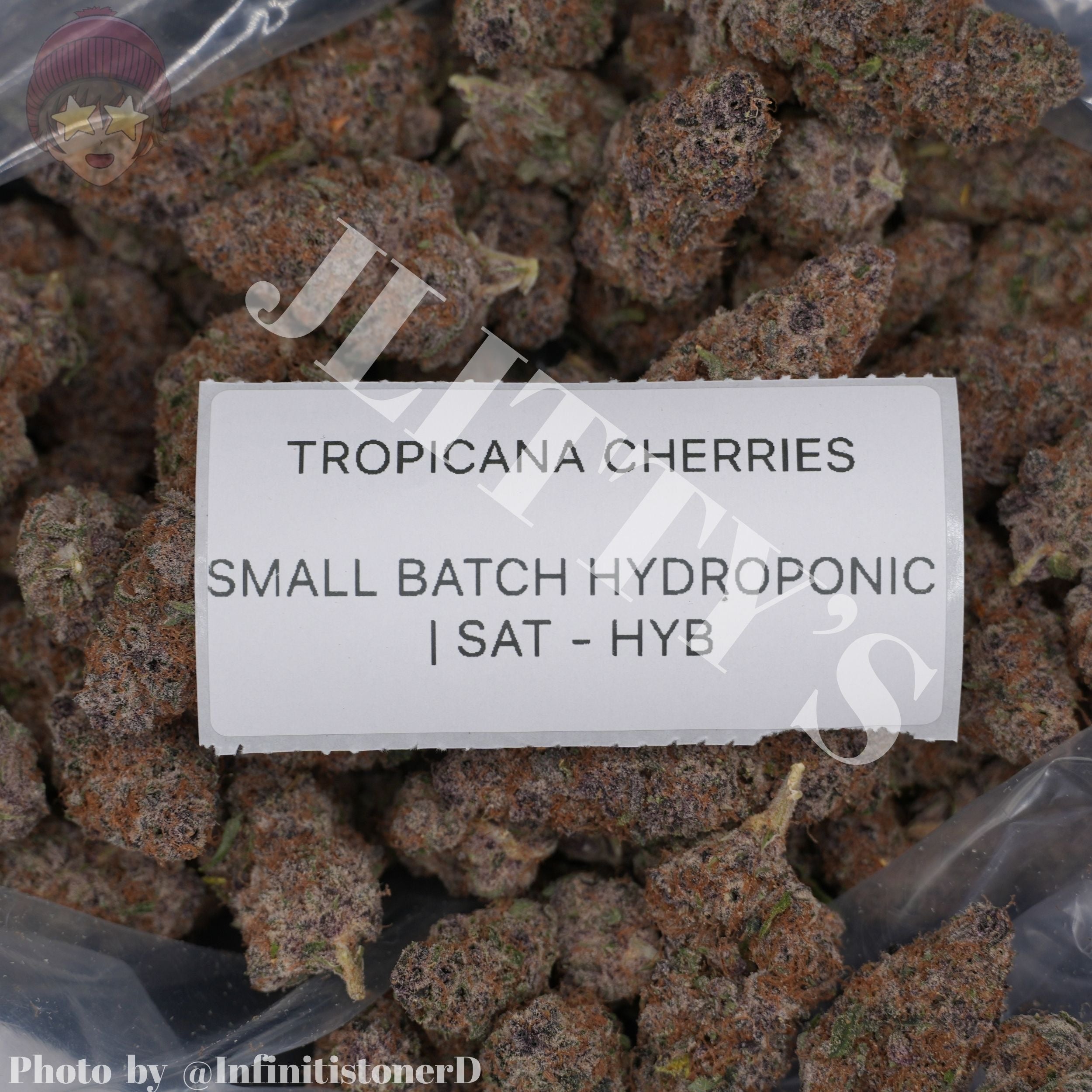 TOP SHELF EXOTICS