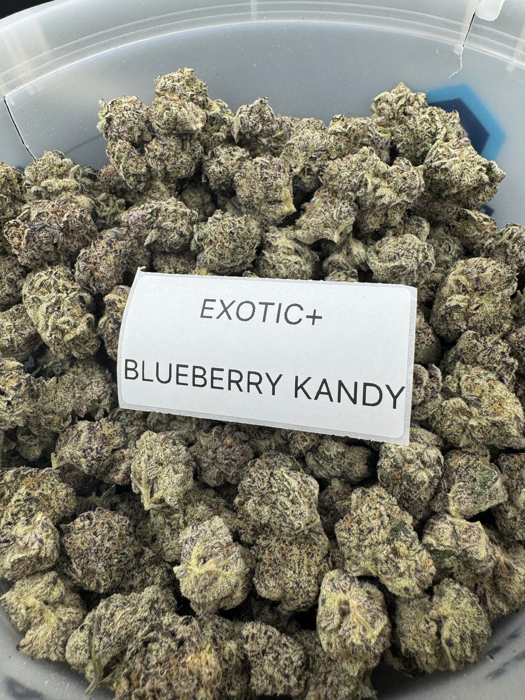 TOP SHELF EXOTICS