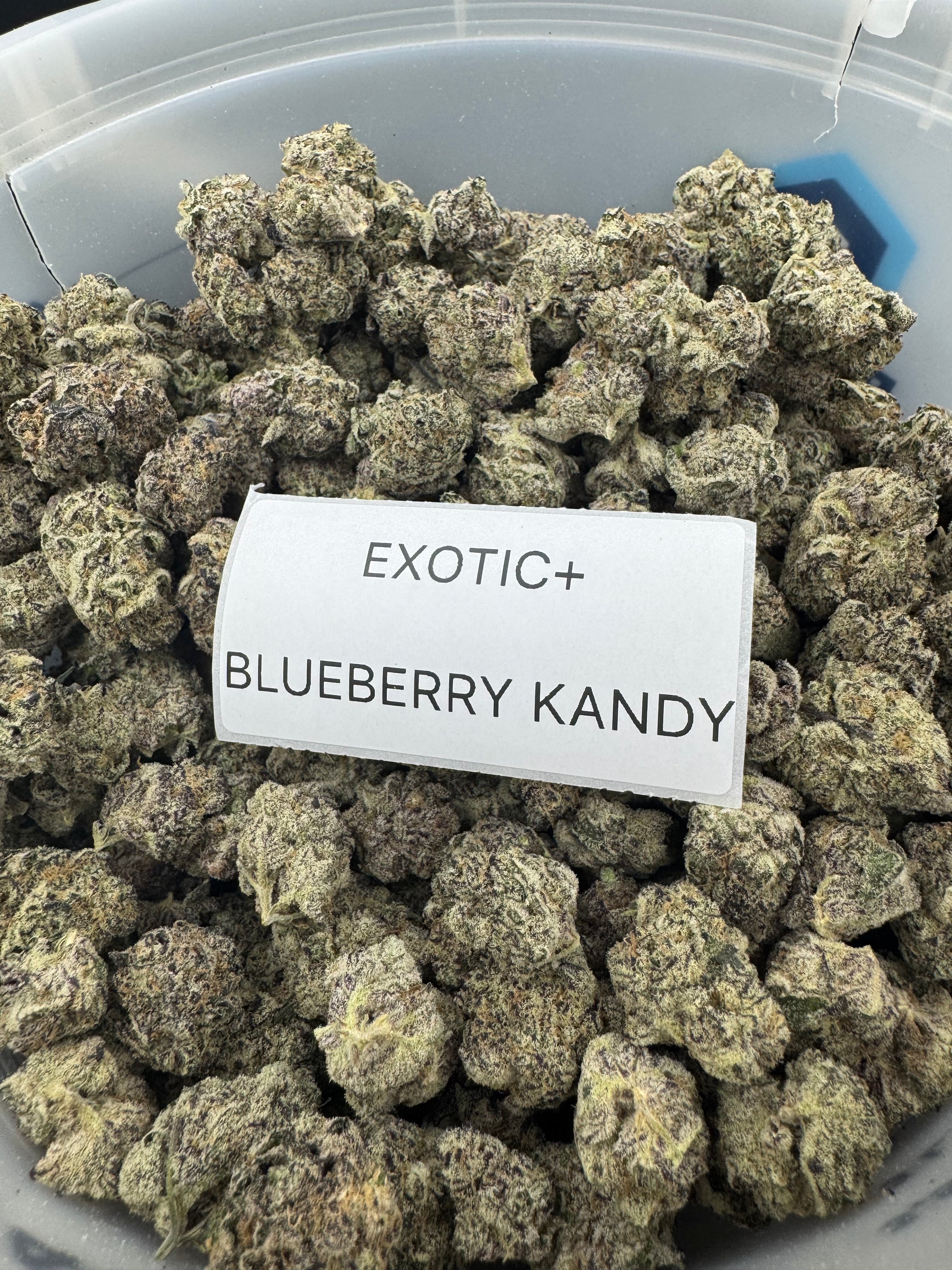 EXOTIC FLOWERS