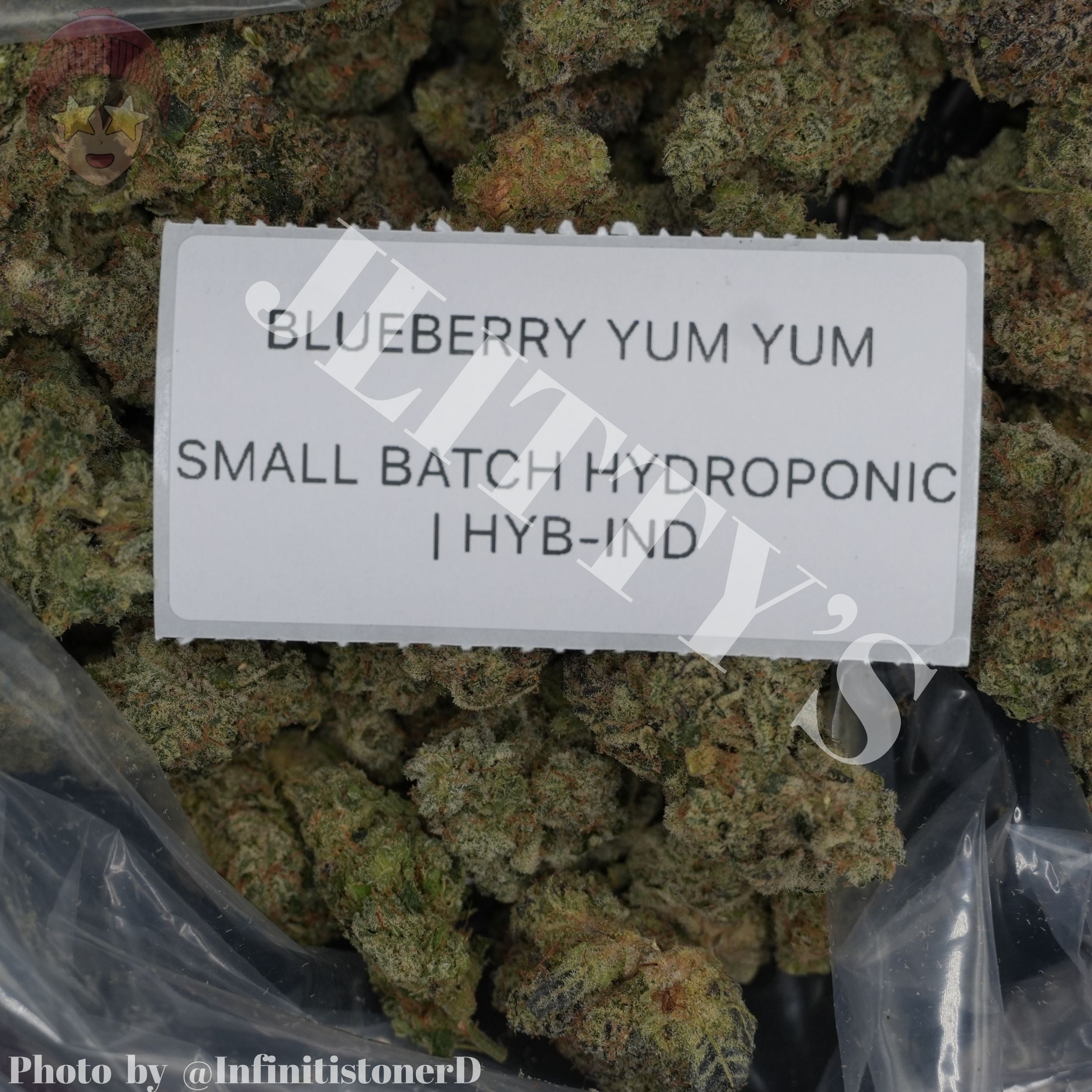 TOP SHELF EXOTICS