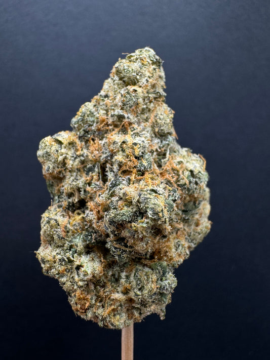 Apple Fritter 40+% (Exotic40)