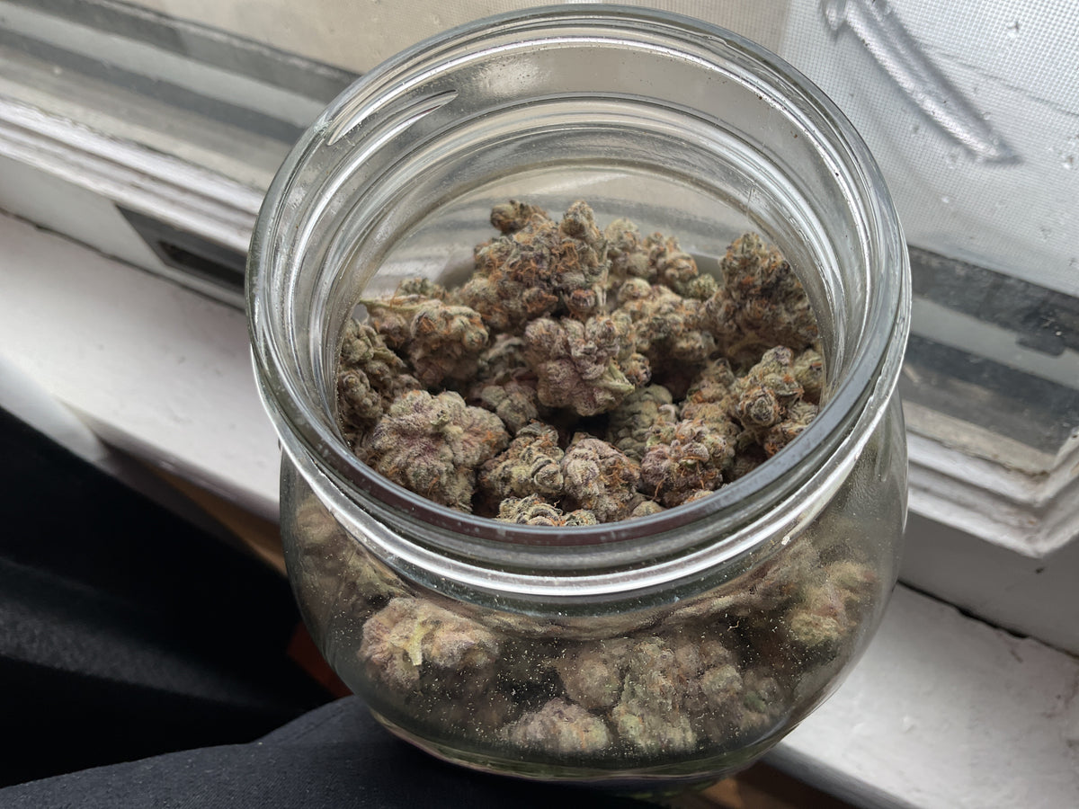 FLASH SALE - HYDRO AND SMALL BATCH