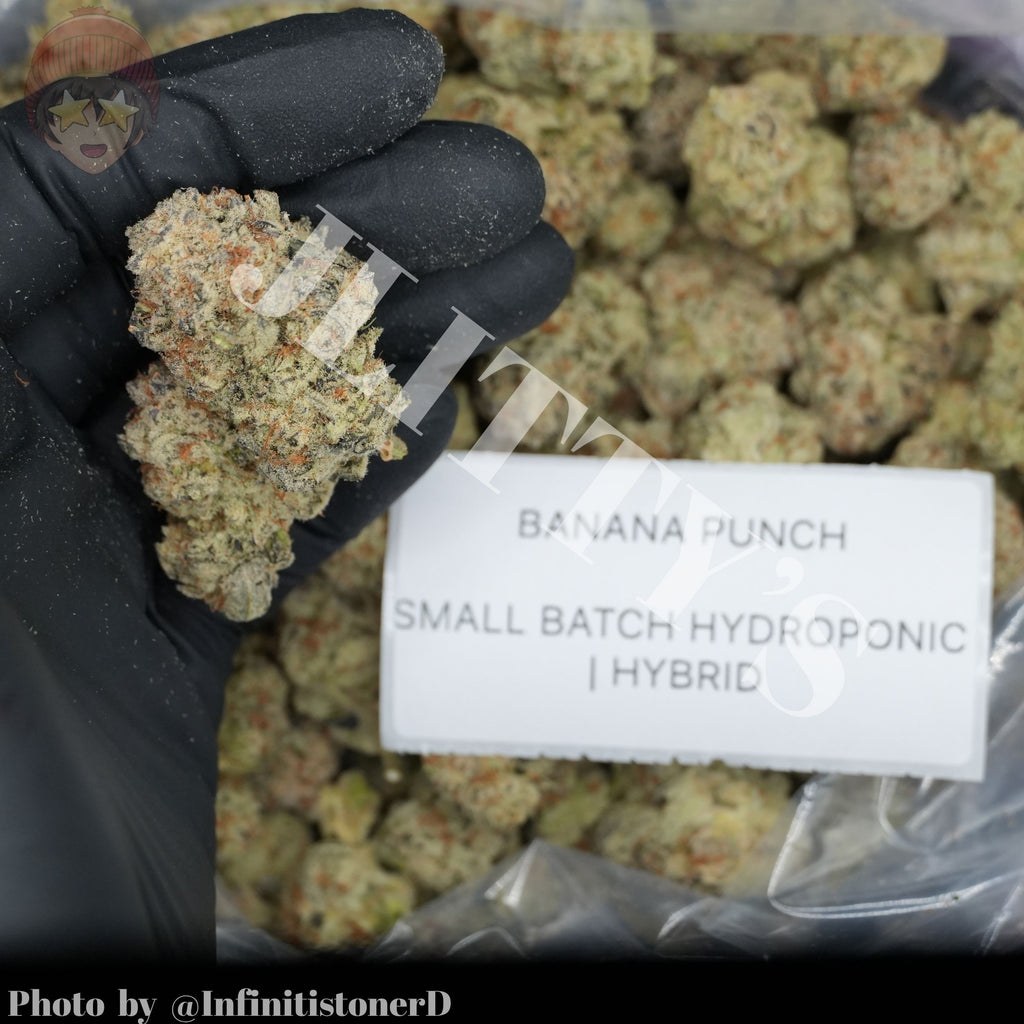 TOP SHELF EXOTICS