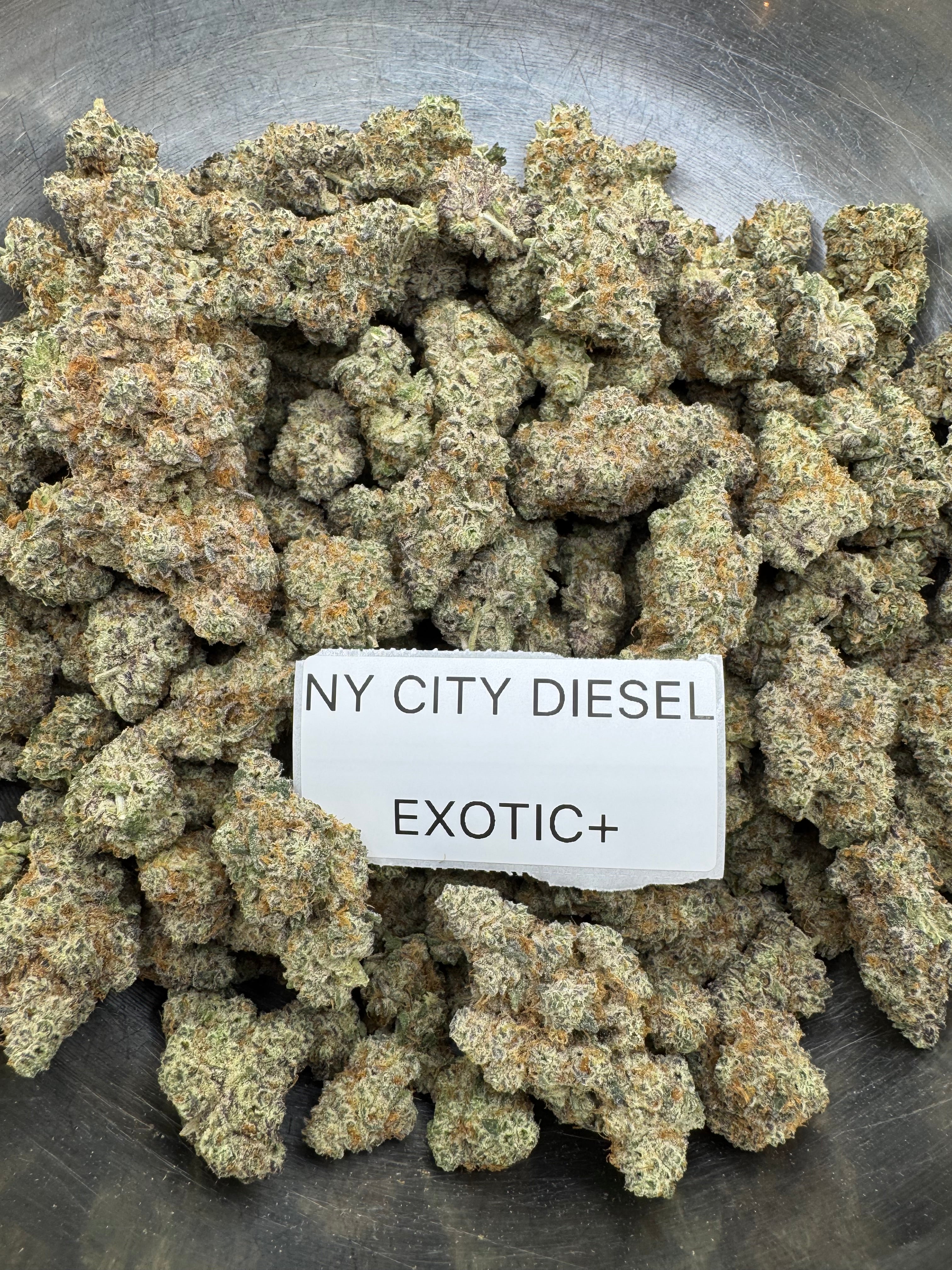 TOP SHELF EXOTICS