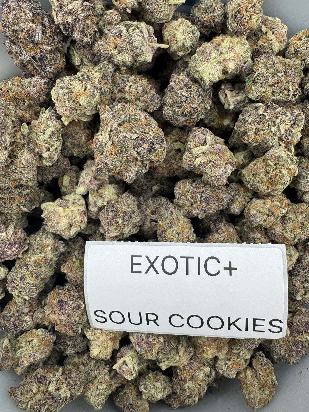 TOP SHELF EXOTICS