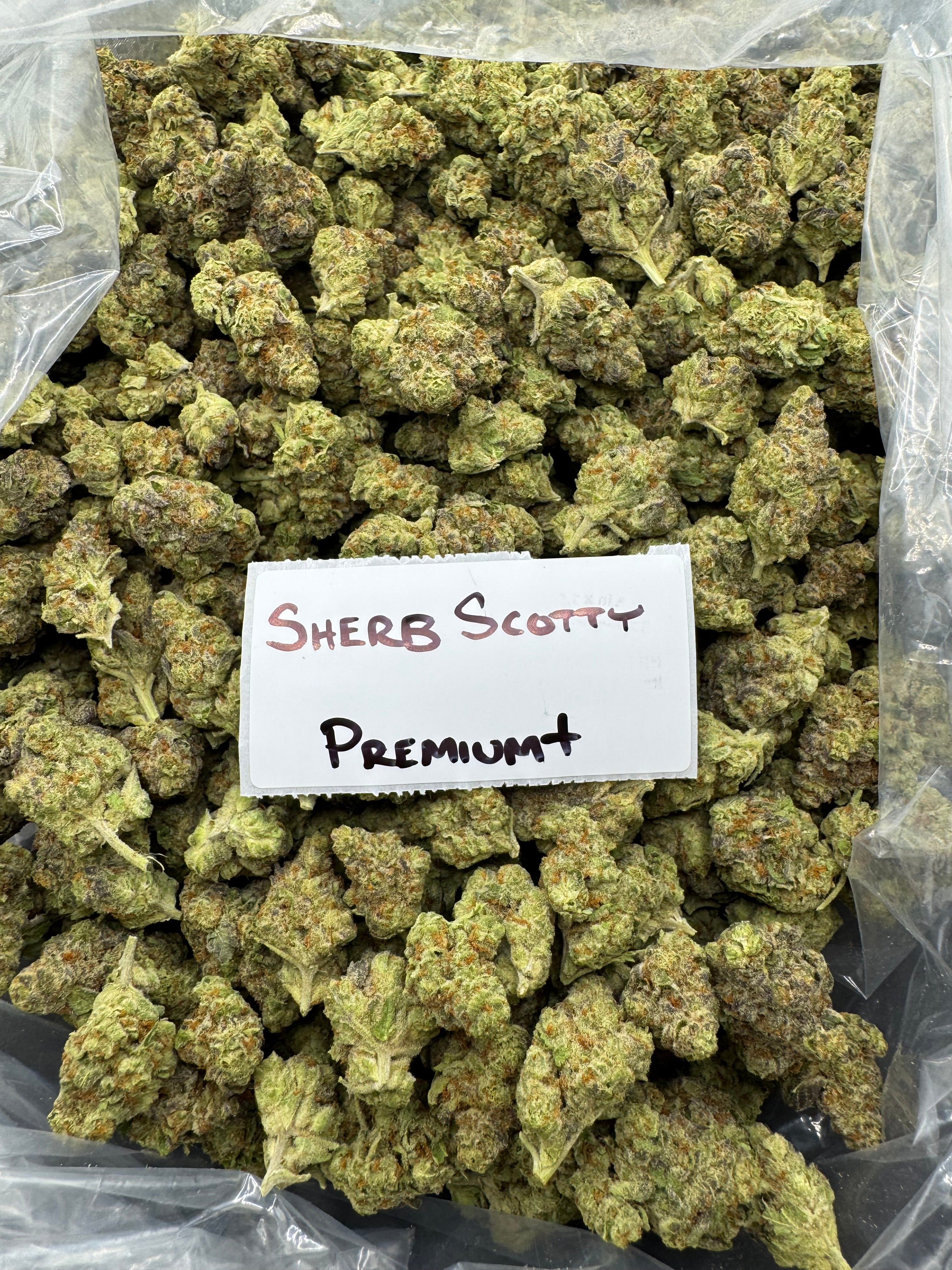 J Litty’s Weekly Deals!