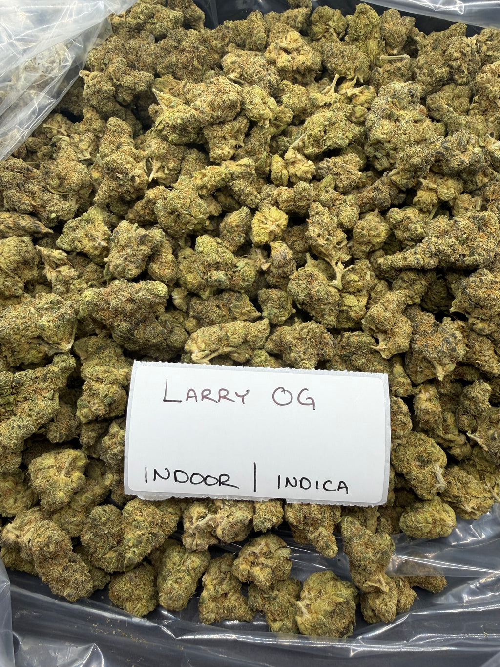 J Litty’s Weekly Deals!