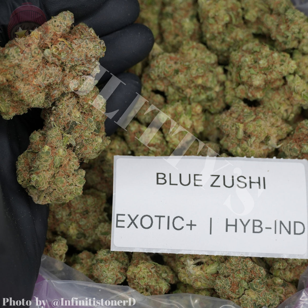 TOP SHELF EXOTICS