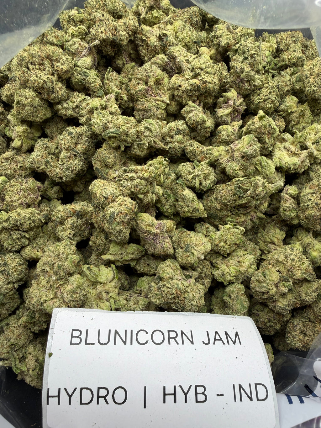 TOP SHELF EXOTICS