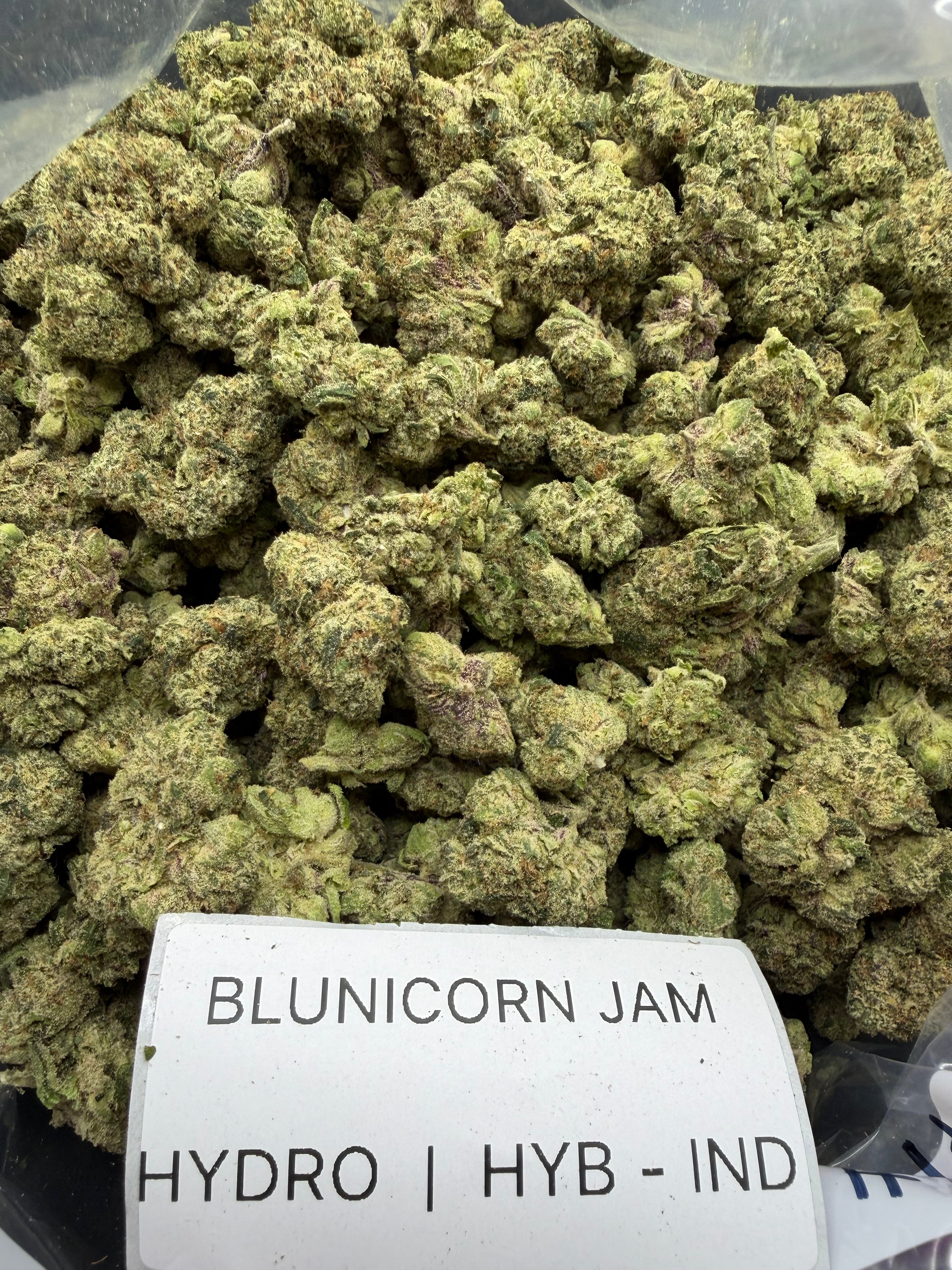 TOP SHELF EXOTICS