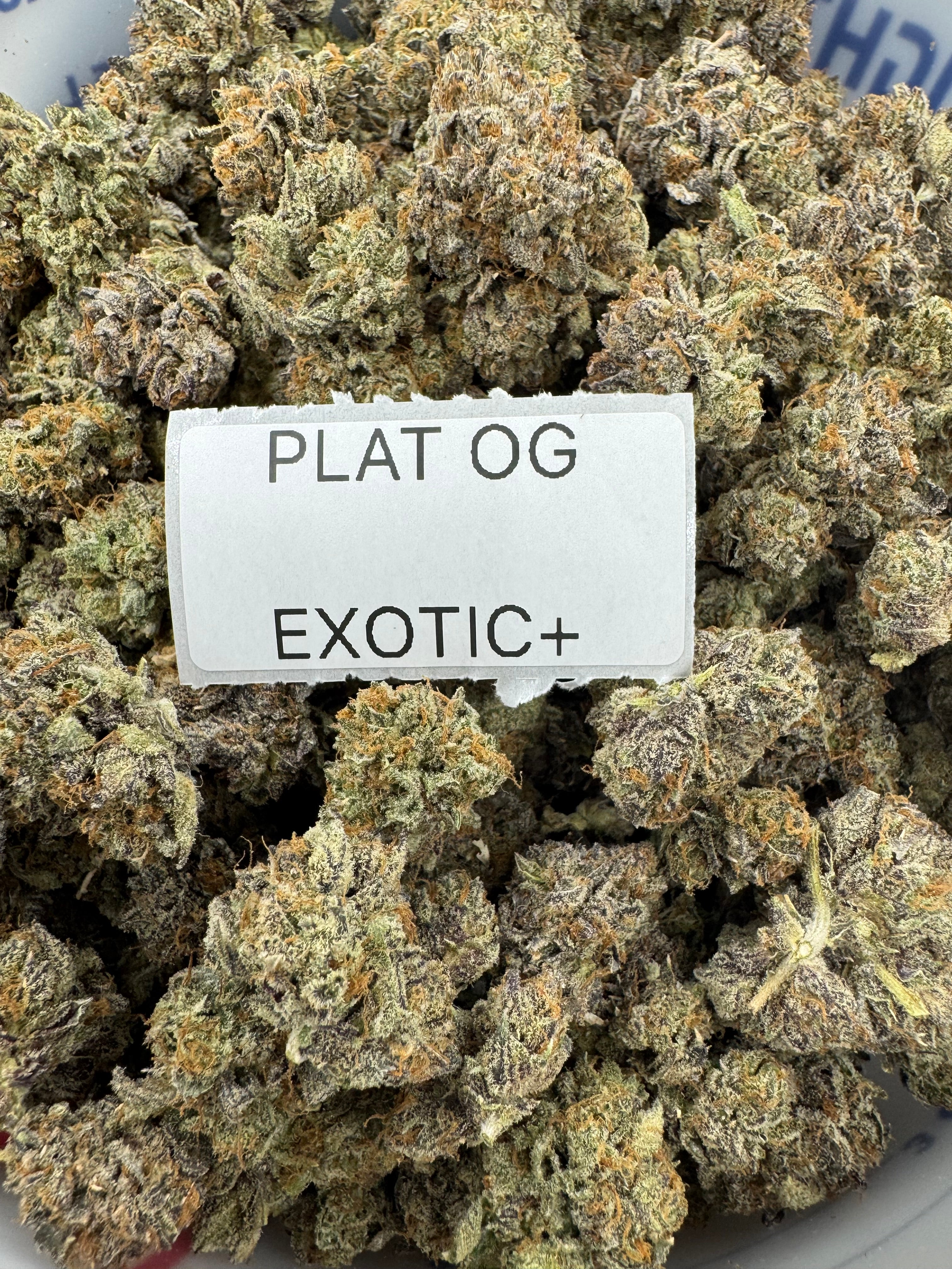 TOP SHELF EXOTICS