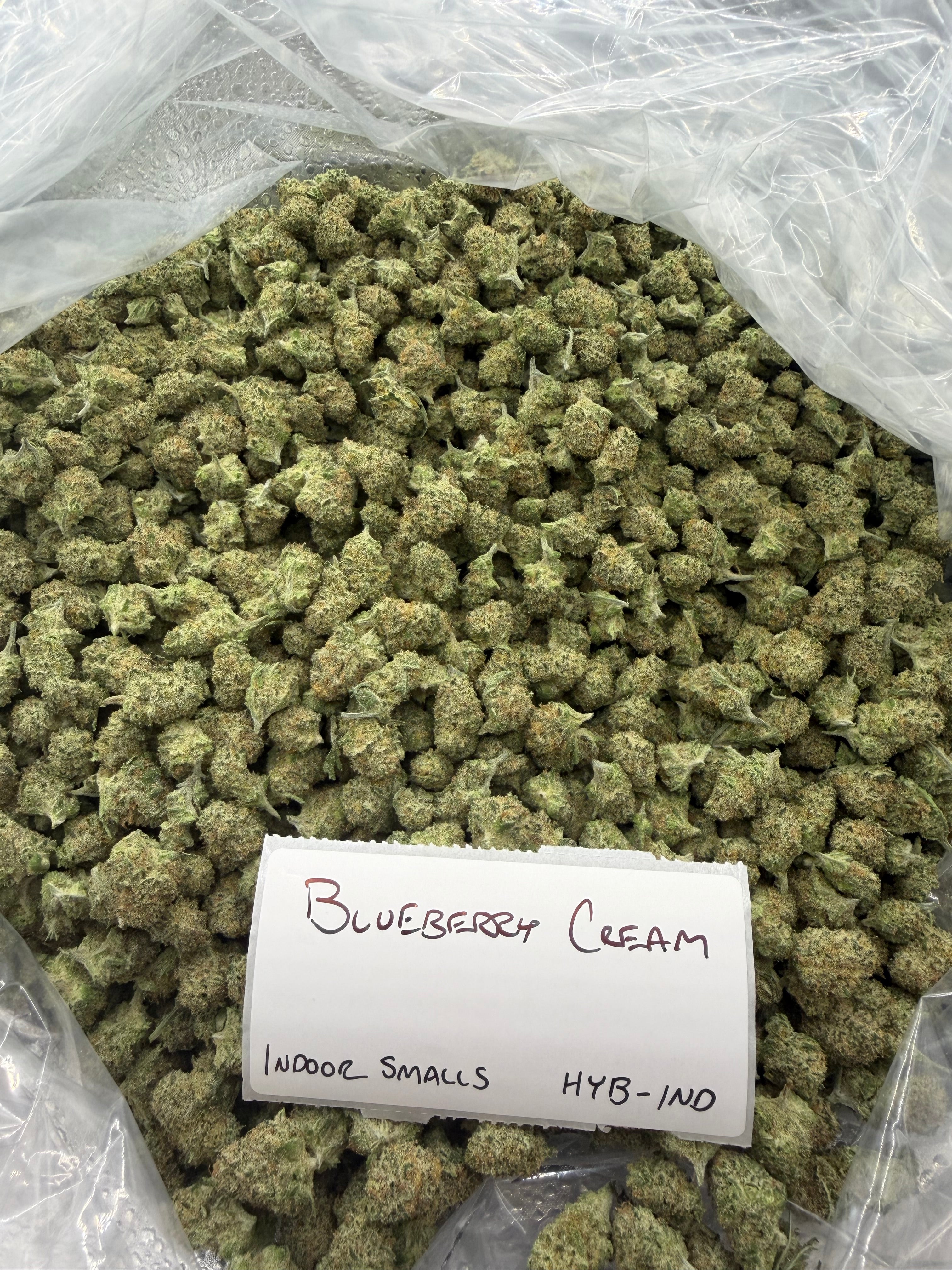 *SALE* SMALLS AND MEDIUMS (NO CODE NEEDED)