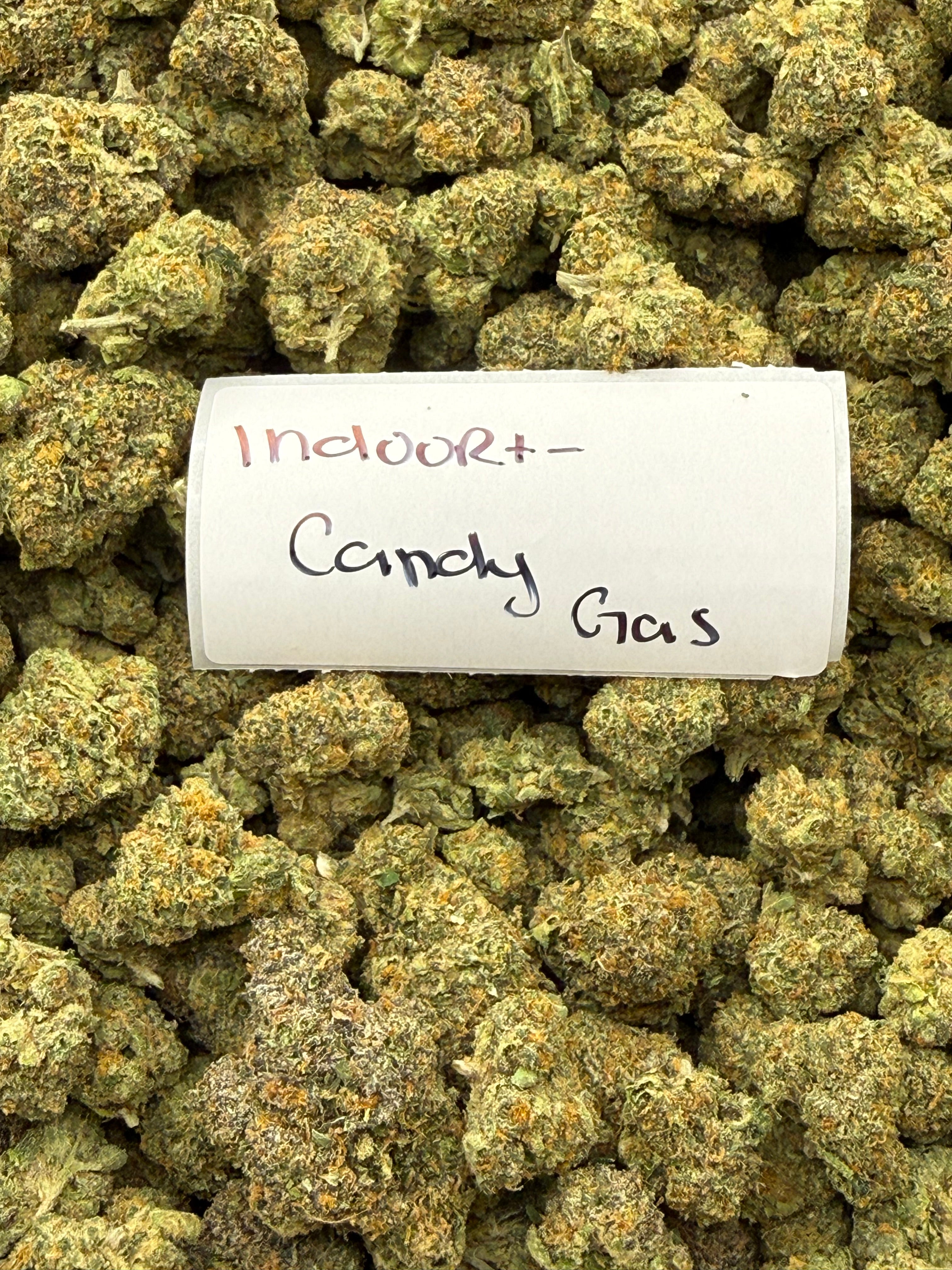 J Litty’s Weekly Deals!