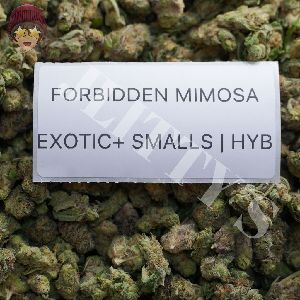 *SALE* SMALLS AND MEDIUMS