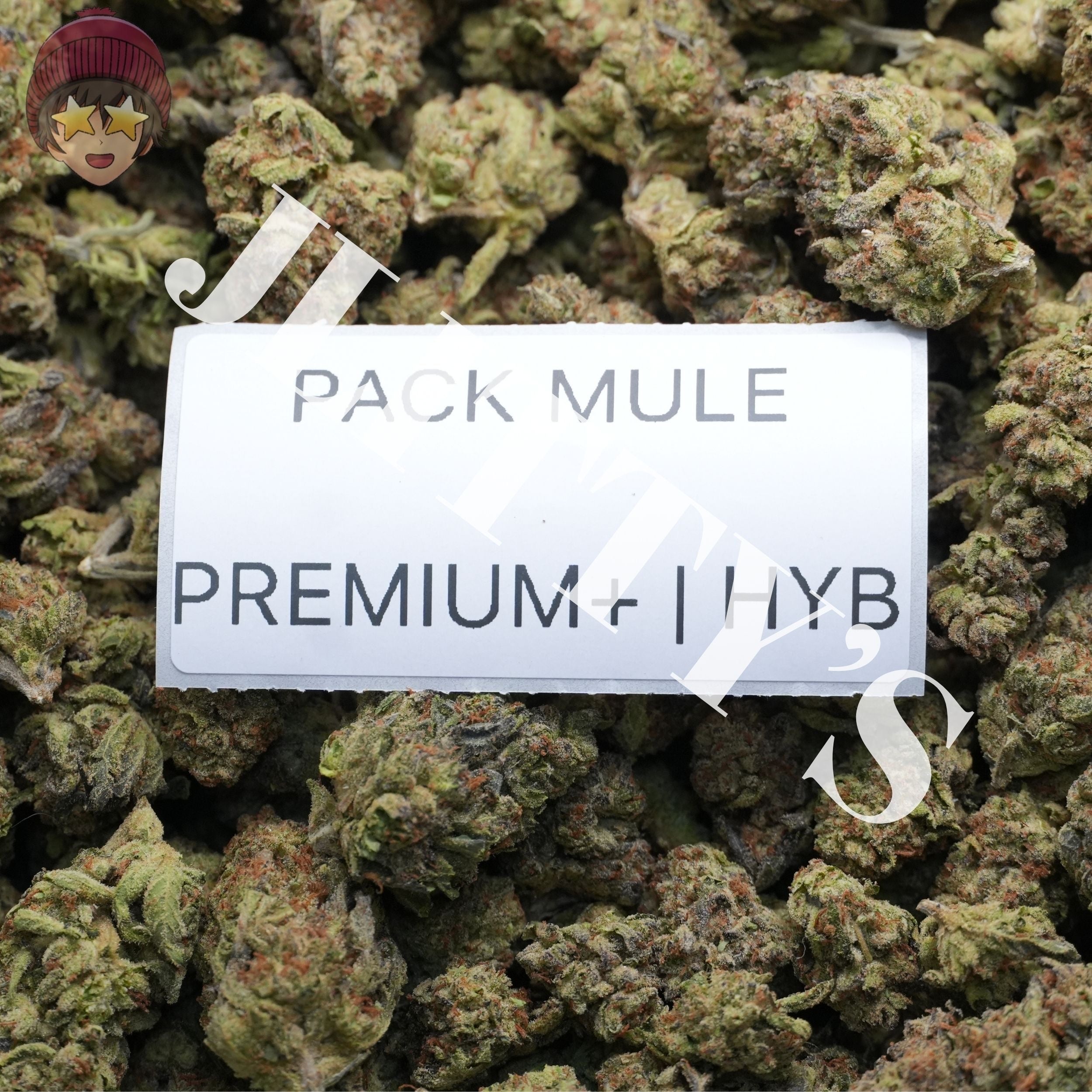 J Litty’s Weekly Deals!