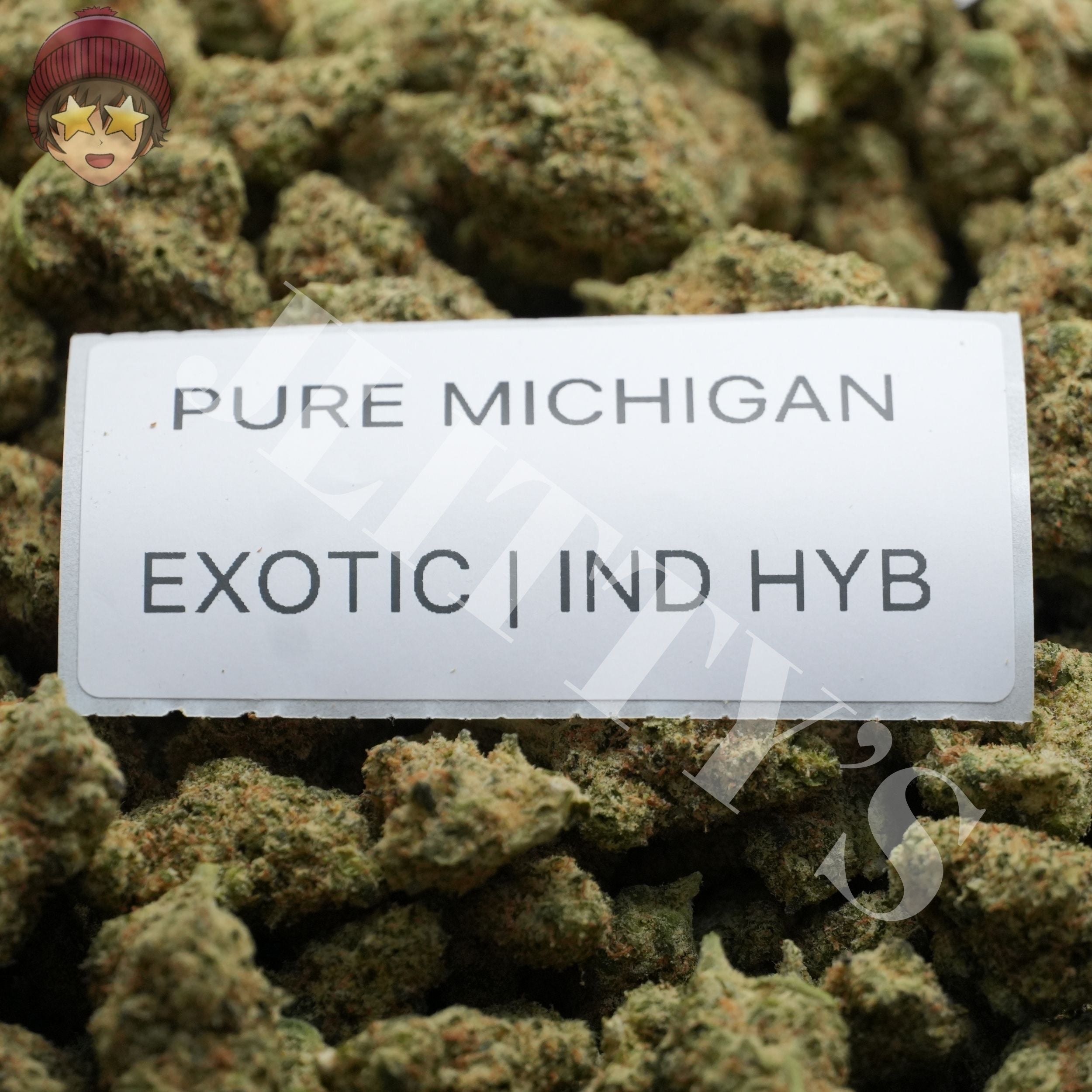 J Litty’s Weekly Deals!