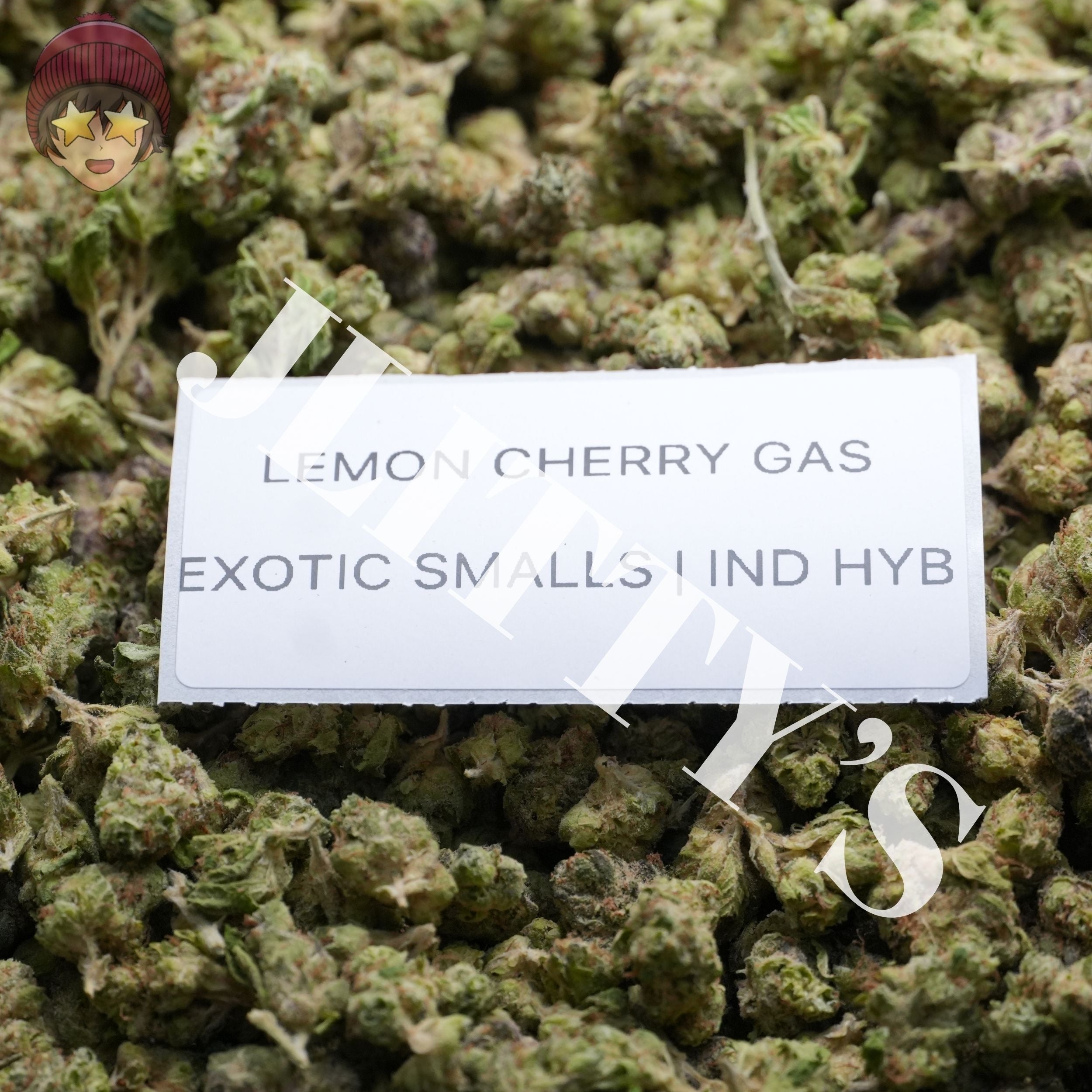 *SALE* SMALLS AND MEDIUMS (DISCOUNT CODES DO NOT APPLY)