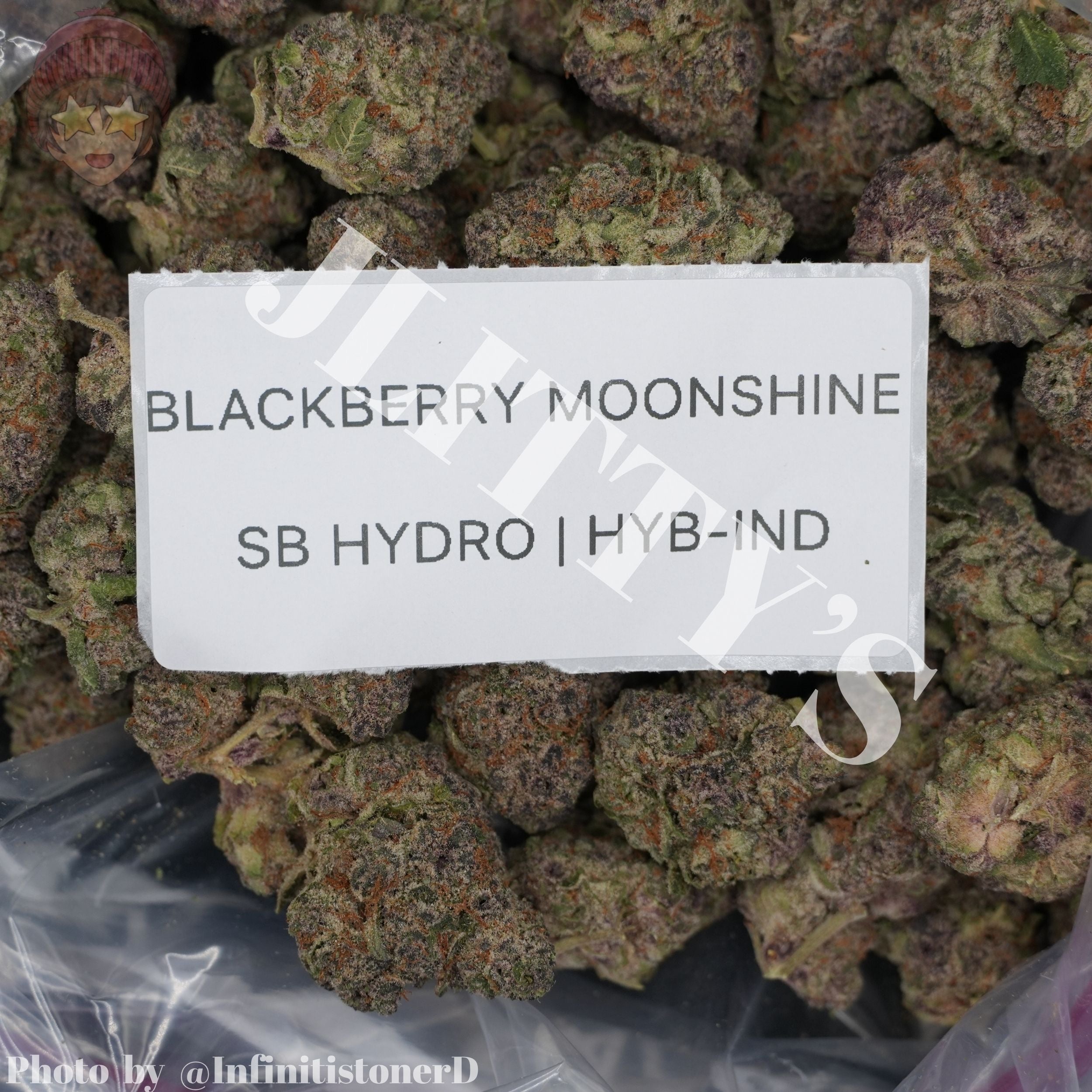 TOP SHELF EXOTICS