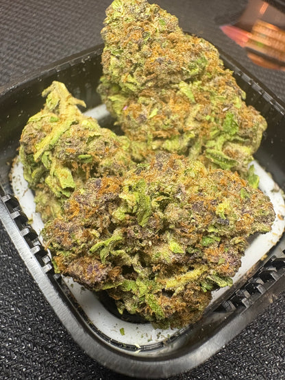PREMIUM+ - Grape Jelly Donut