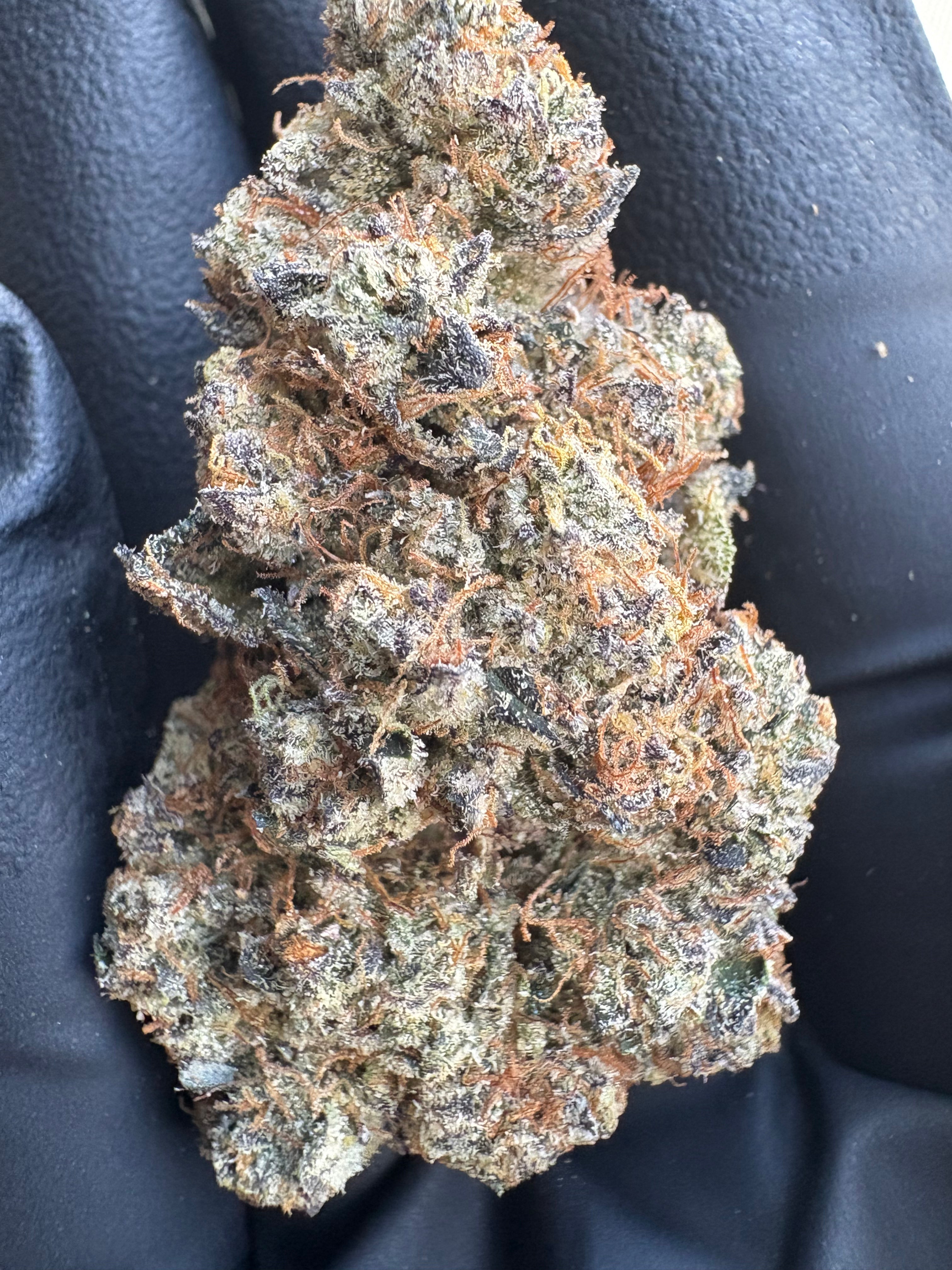 EXOTIC FLOWERS