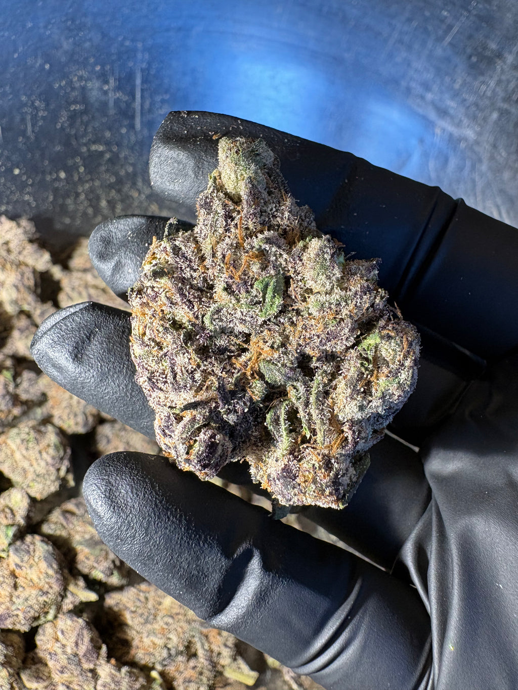 FLASH SALE - HYDRO AND SMALL BATCH