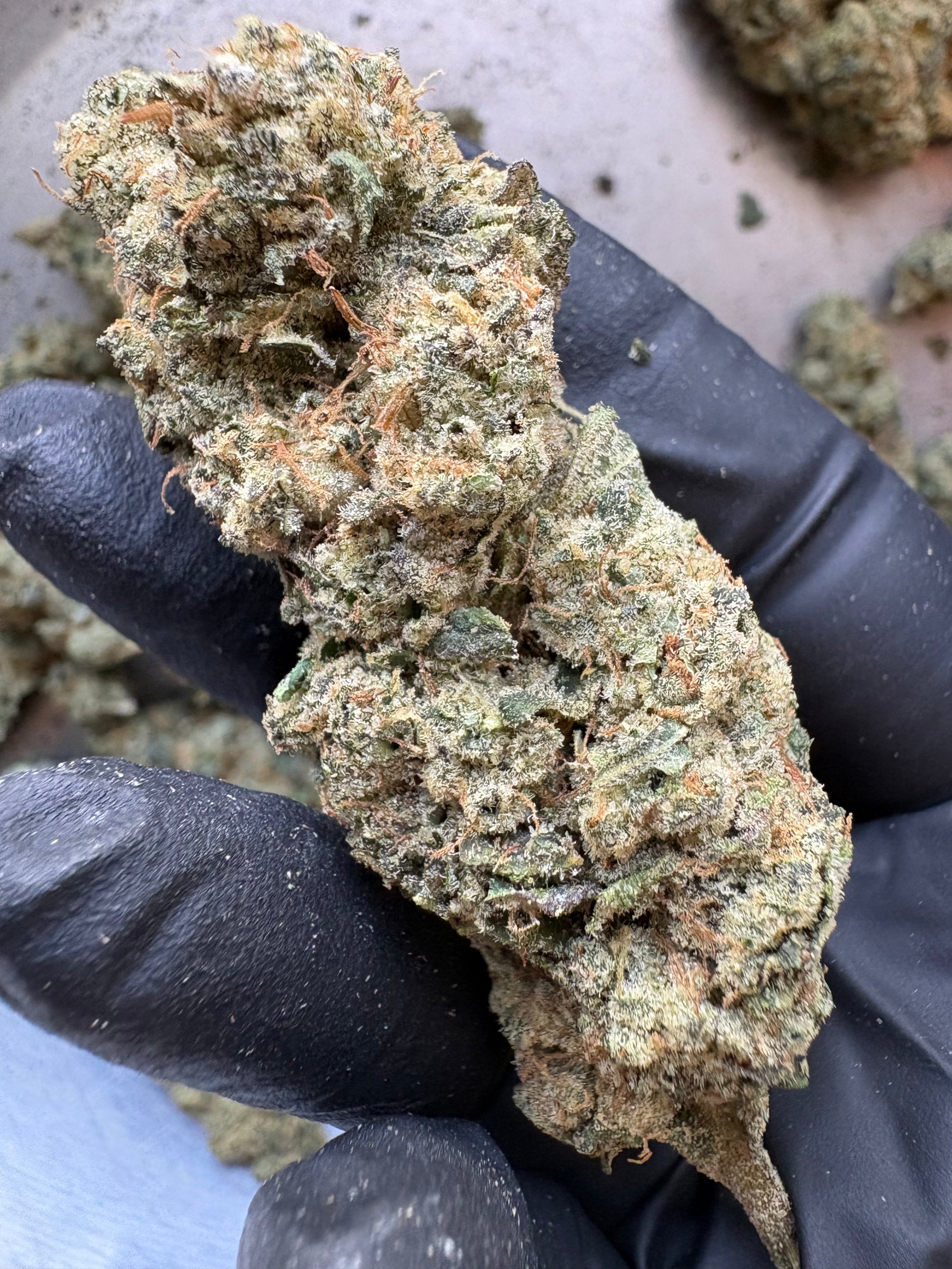 FLASH SALE - HYDRO AND SMALL BATCH