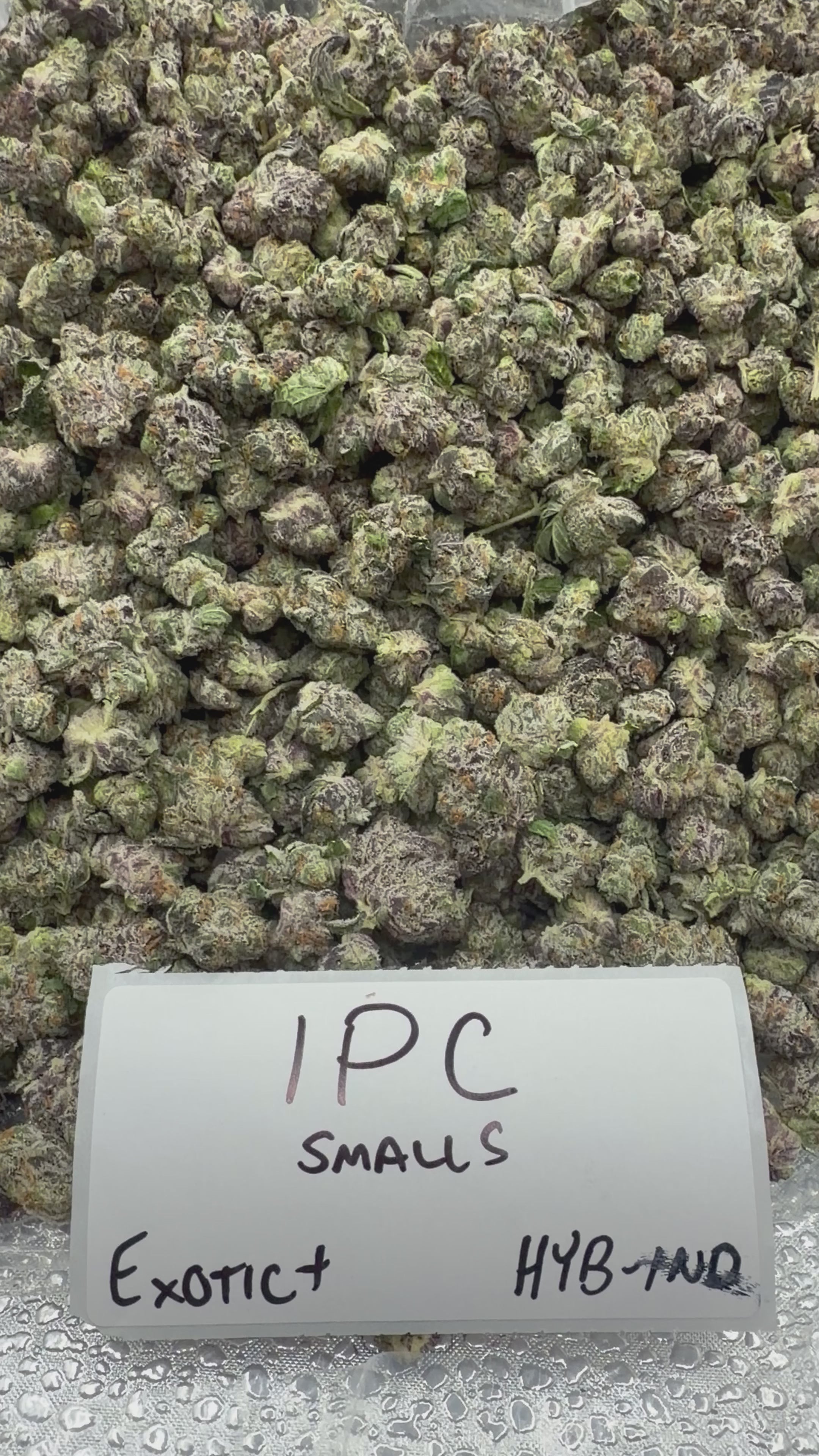 *SALE* SMALLS AND MEDIUMS (DISCOUNT CODES DO NOT APPLY)