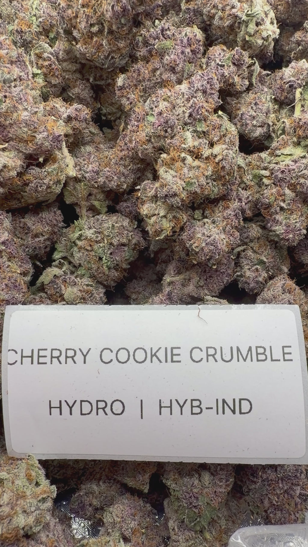 TOP SHELF EXOTICS