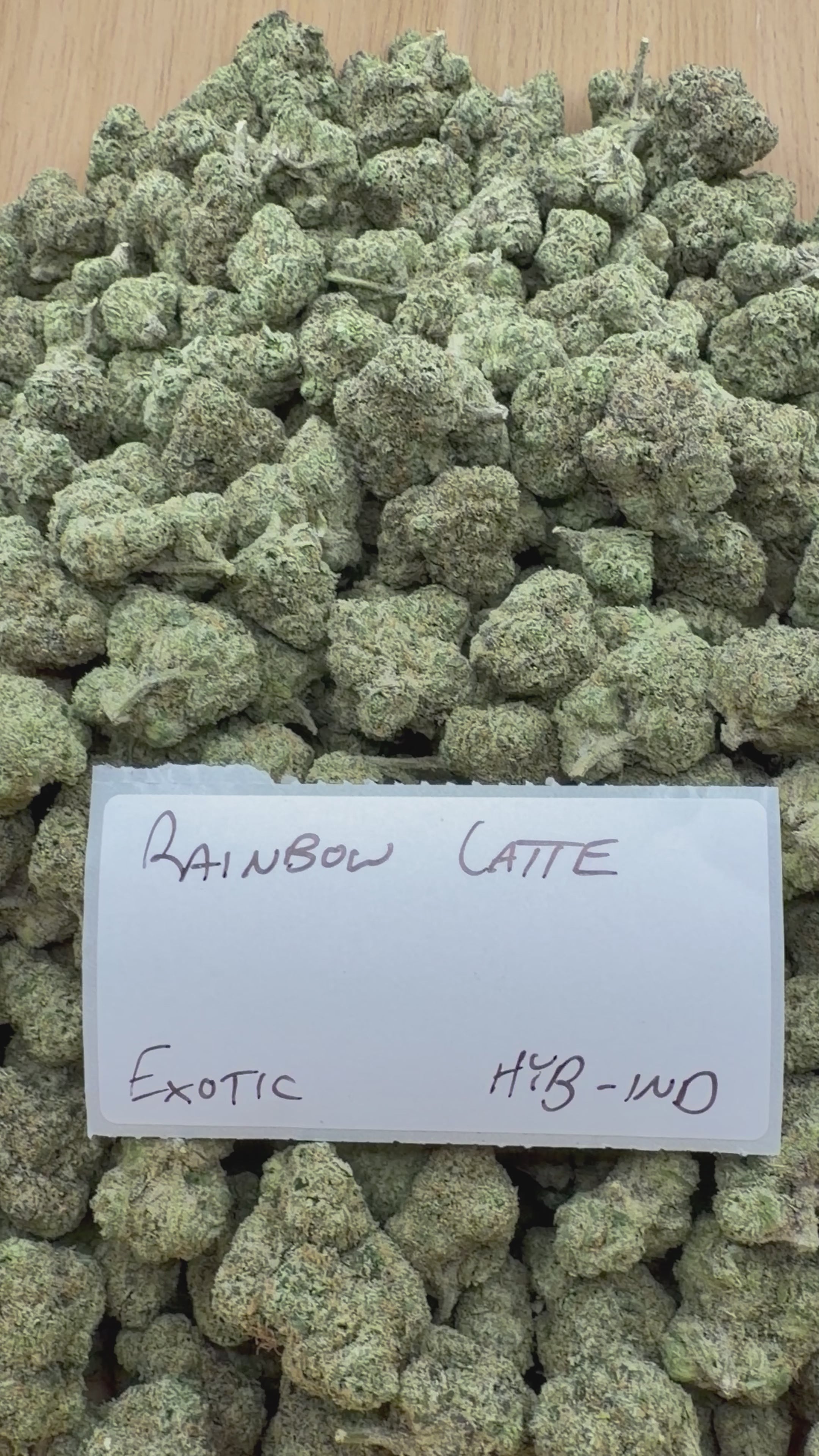 TOP SHELF EXOTICS