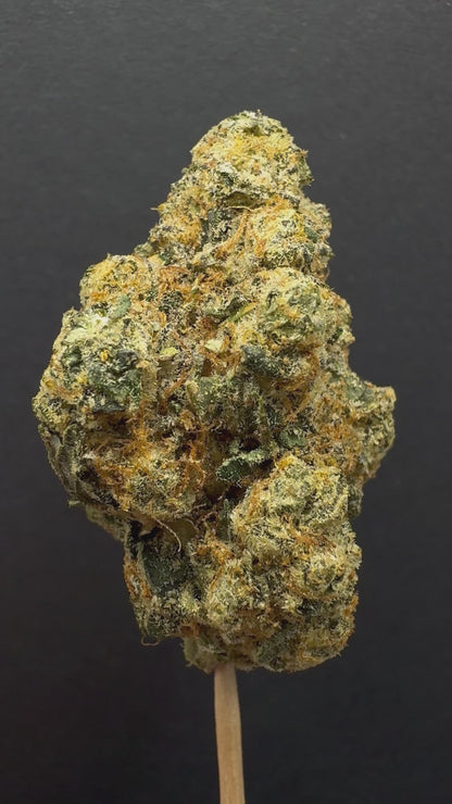 Apple Fritter 40+% (Exotic40)