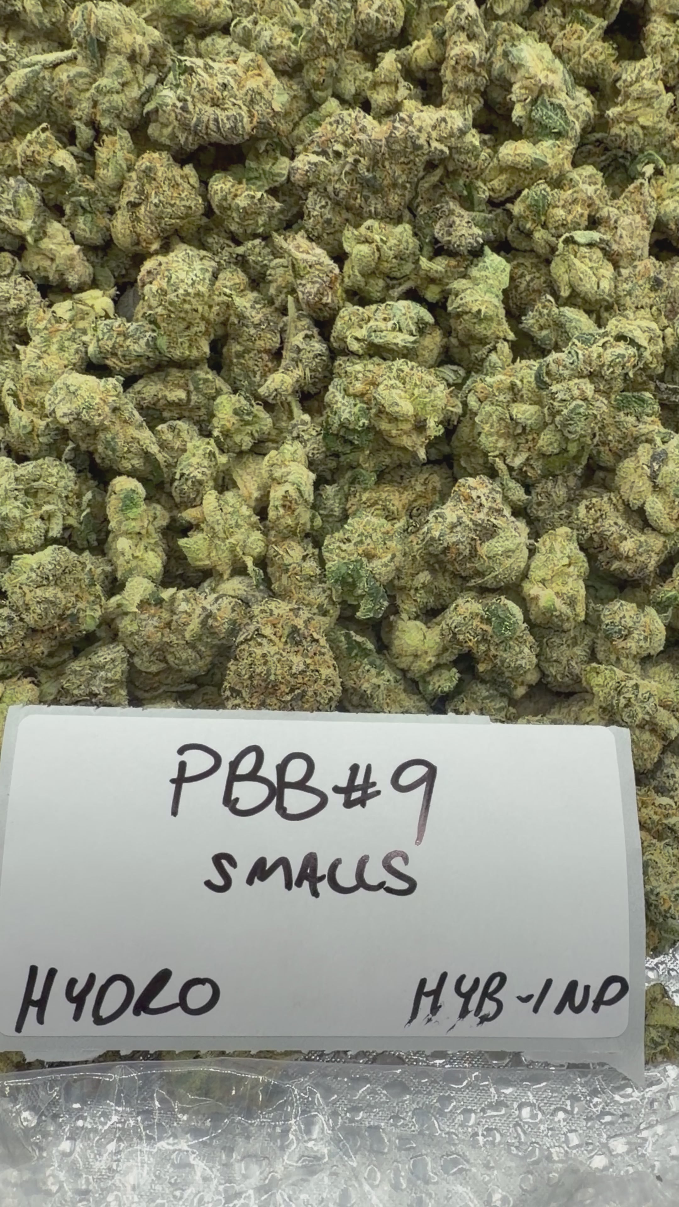 *SALE* SMALLS AND MEDIUMS (DISCOUNT CODES DO NOT APPLY)