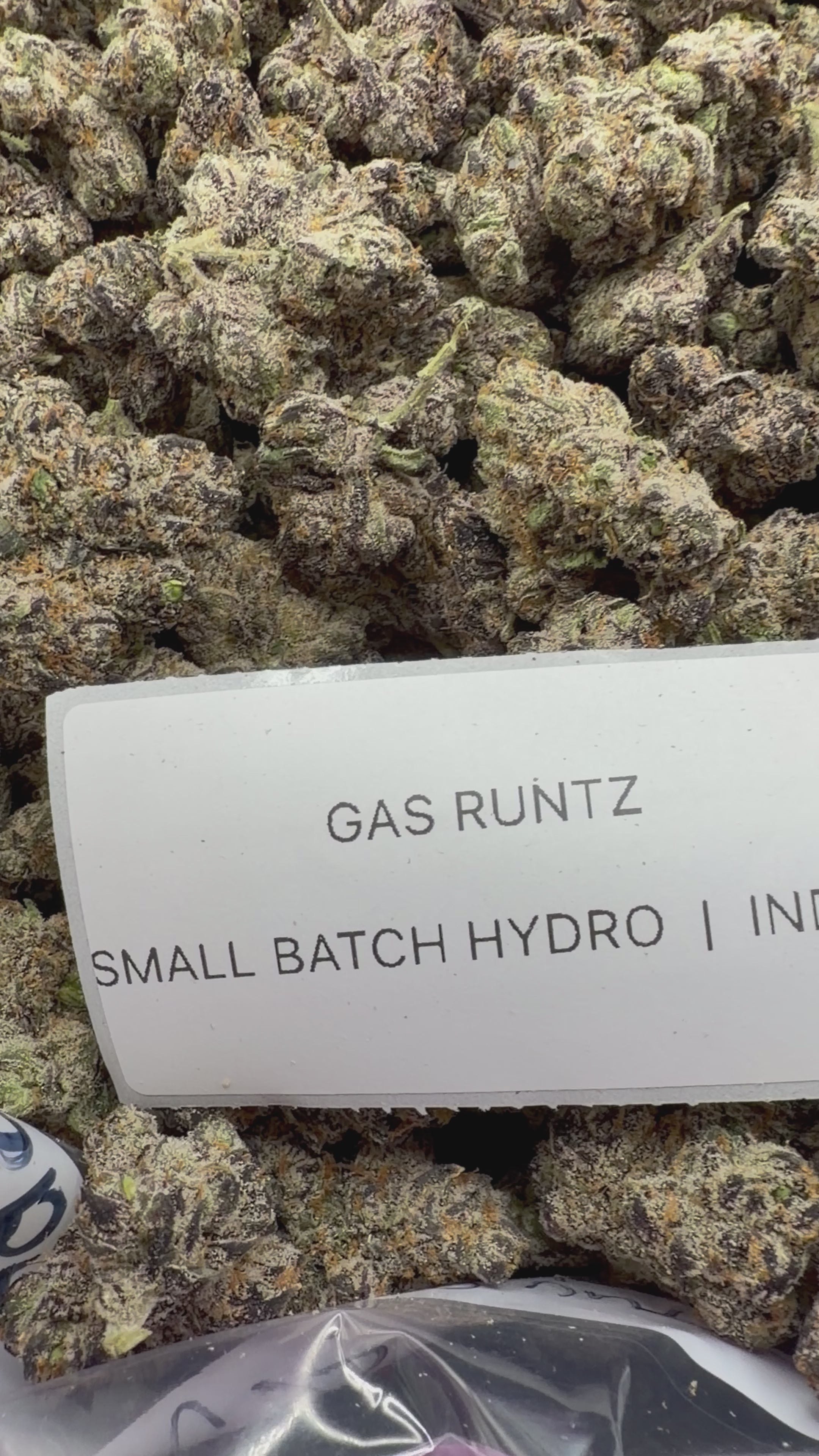 TOP SHELF EXOTICS