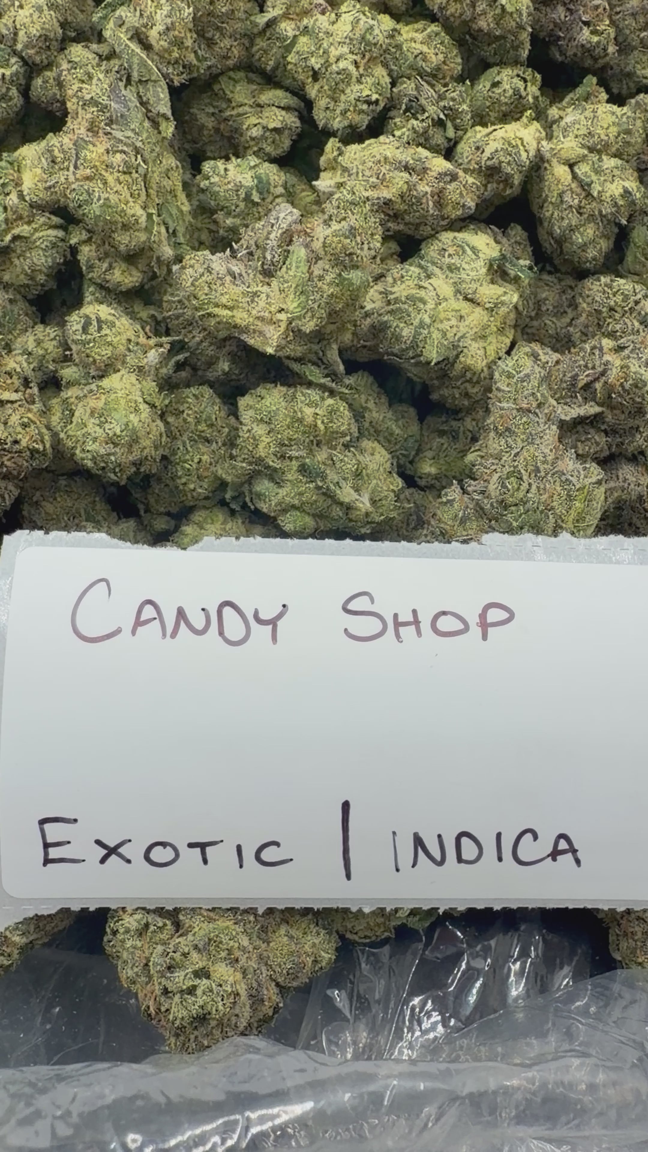 TOP SHELF EXOTICS