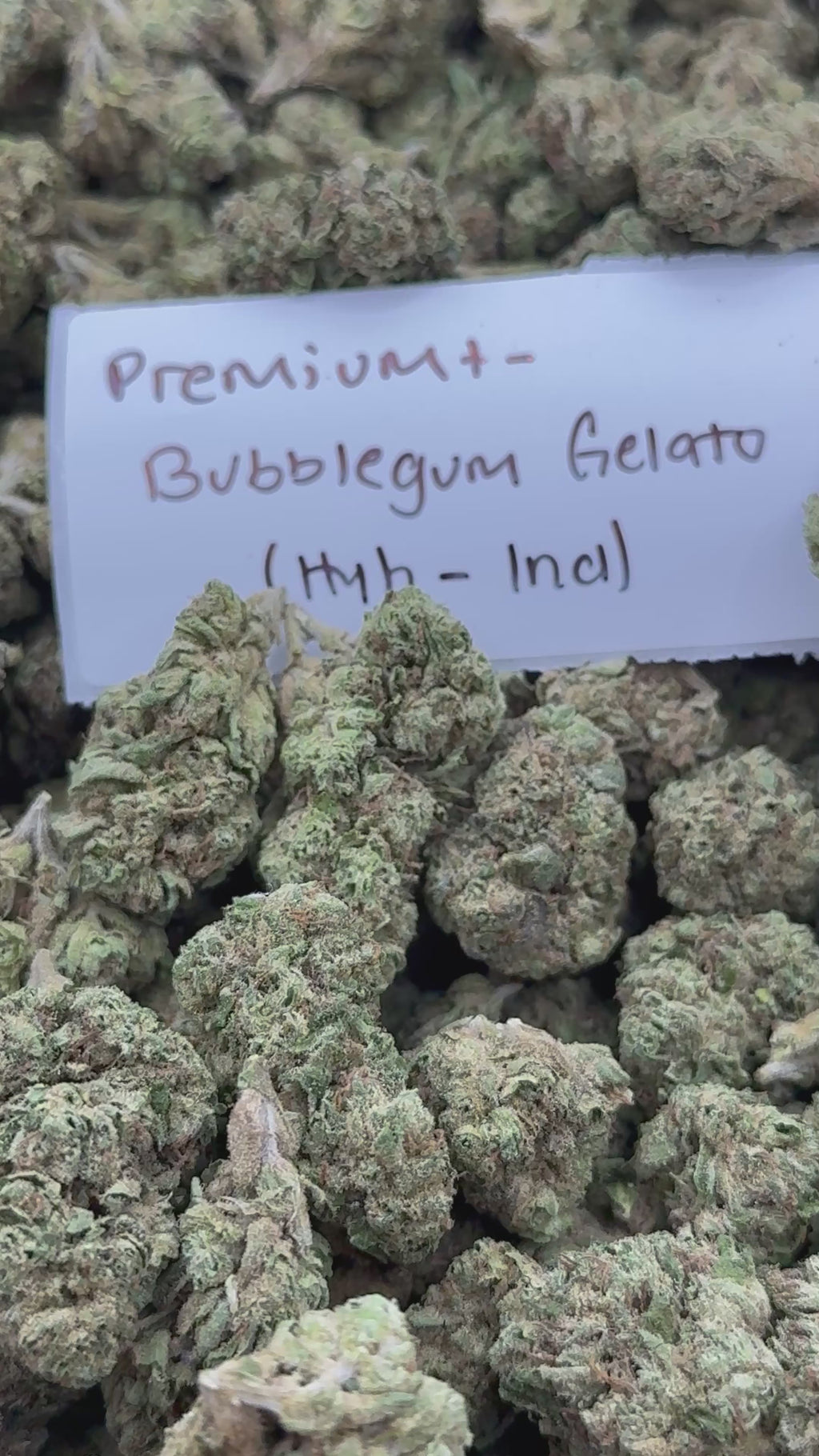 J Litty’s Weekly Deals!