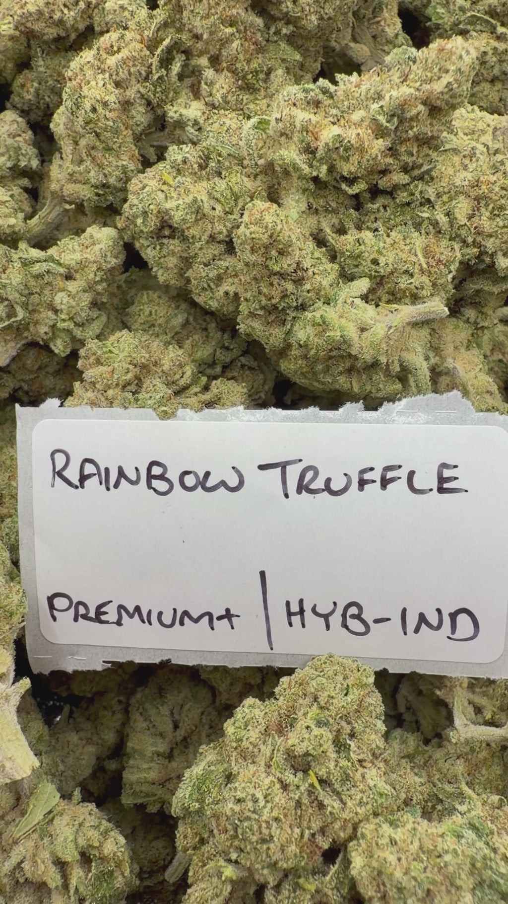 J Litty’s Weekly Deals!