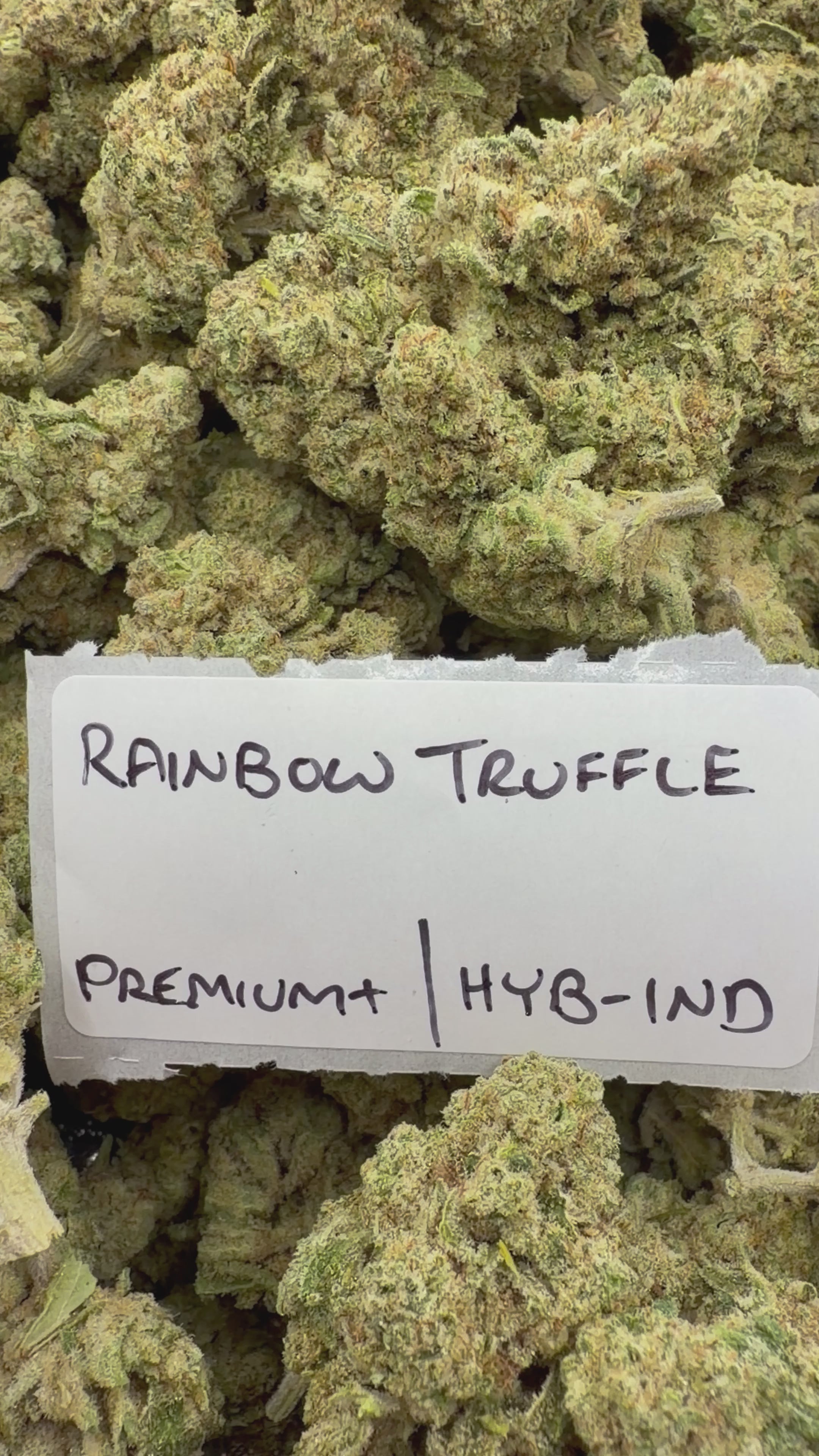 J Litty’s Weekly Deals!