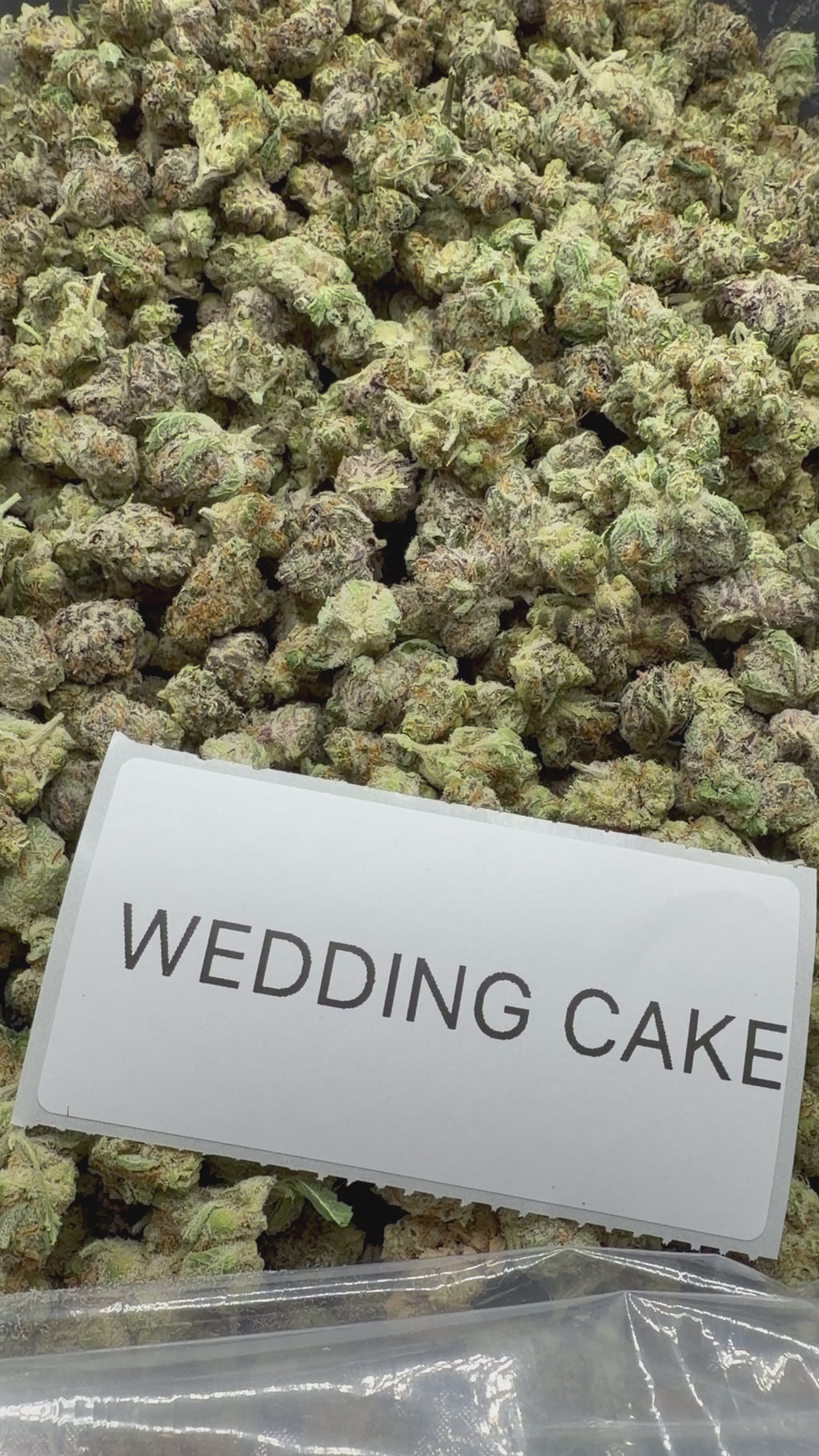 *SALE* SMALLS AND MEDIUMS