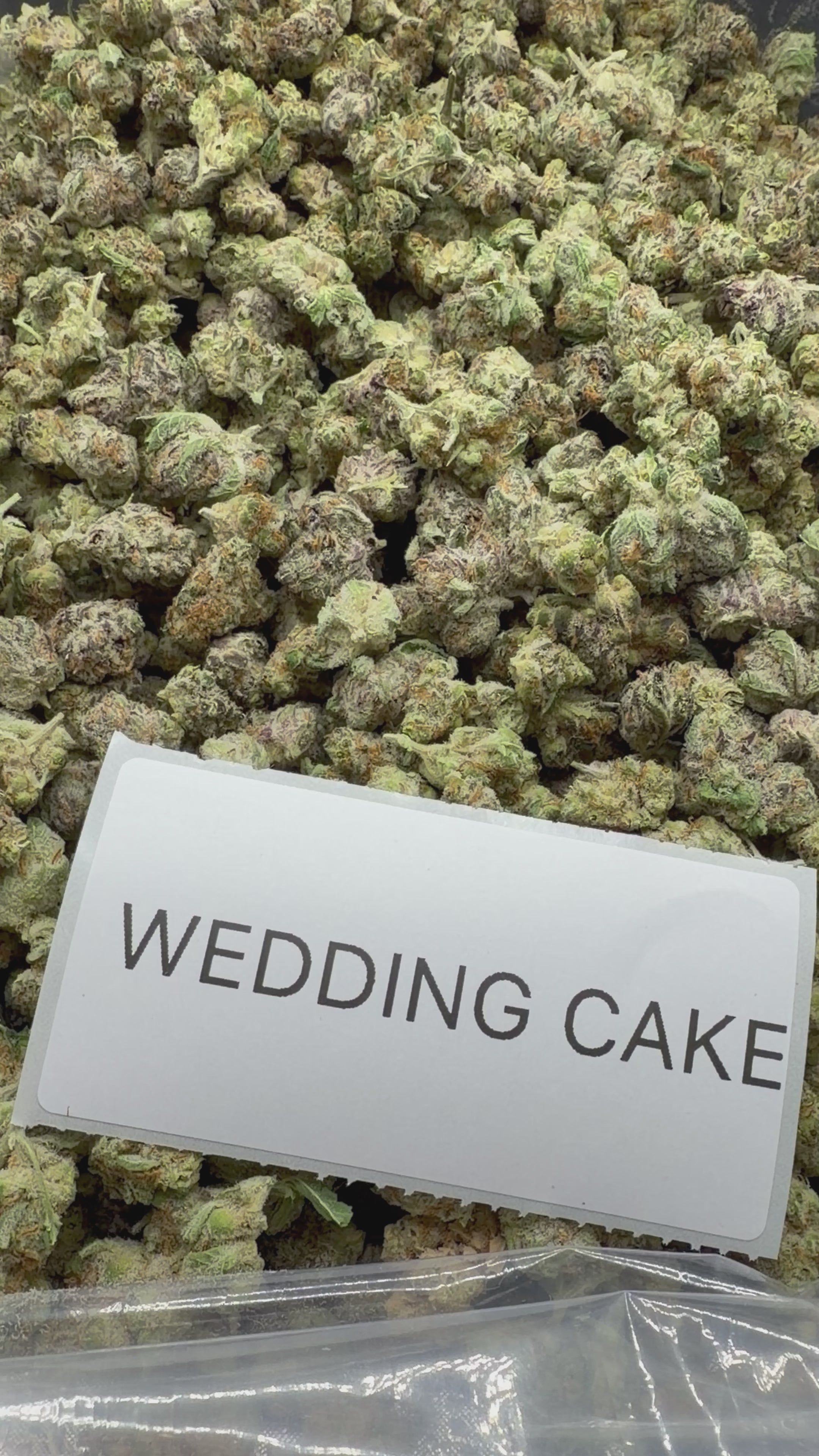 *SALE* SMALLS AND MEDIUMS