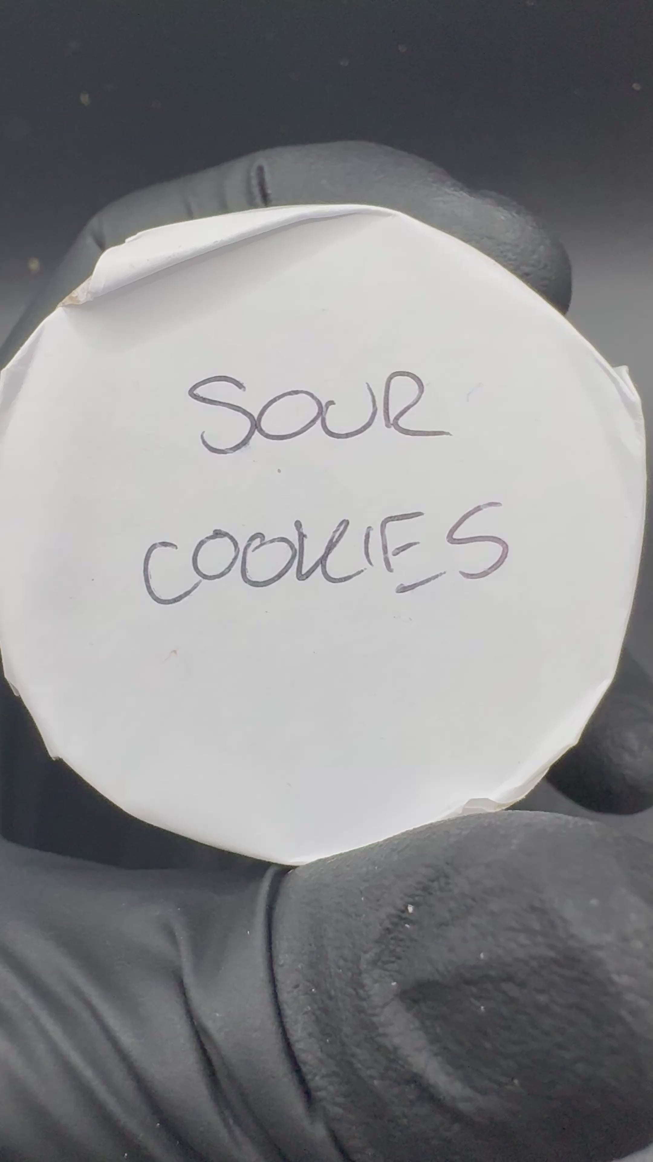 COLD CURE HASH ROSIN