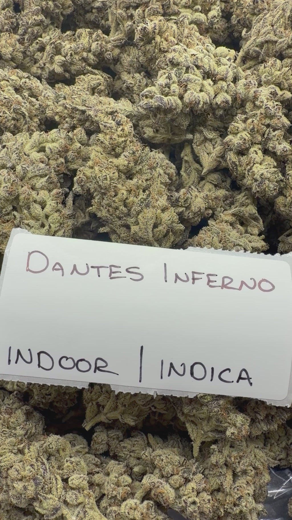 J Litty’s Weekly Deals!