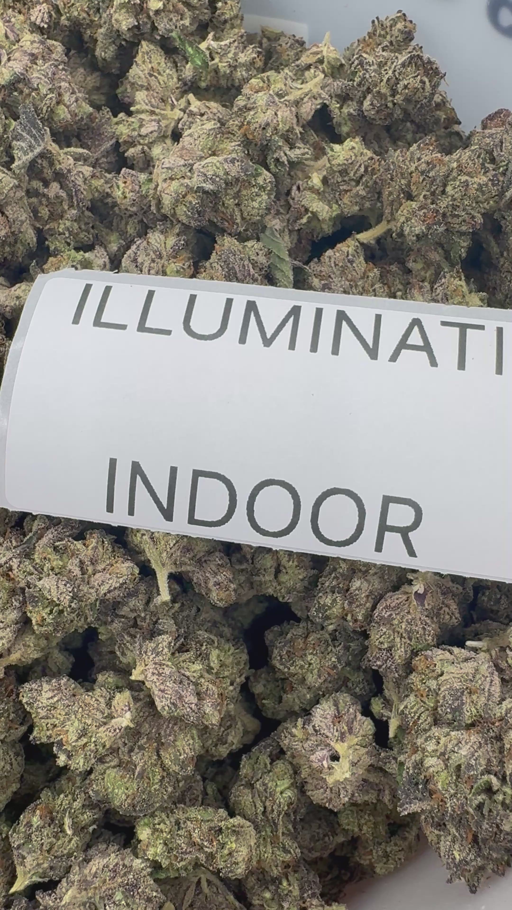 J Litty’s LABOR DAY Indoor Flower Deals!