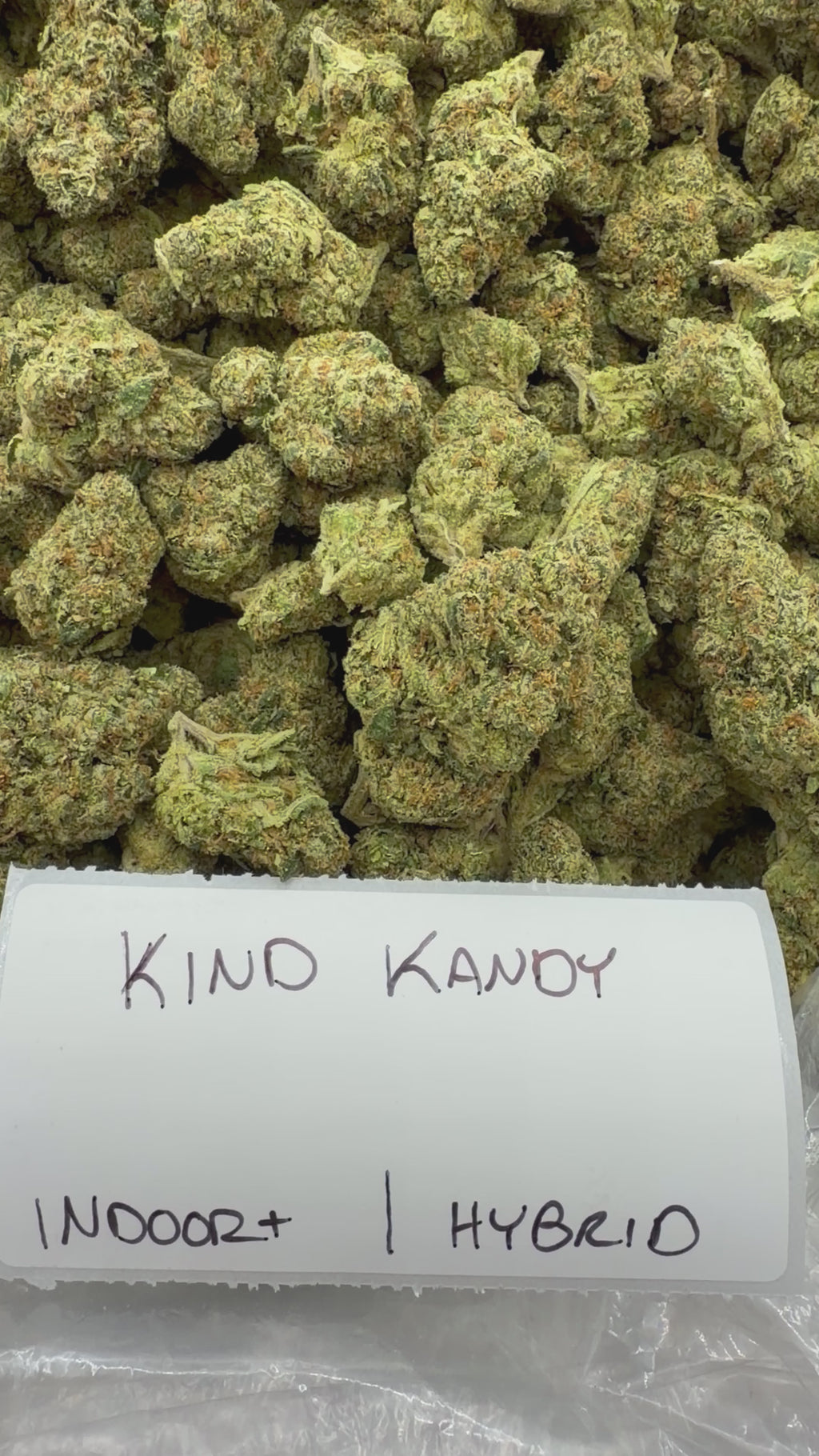 J Litty’s Weekly Deals!