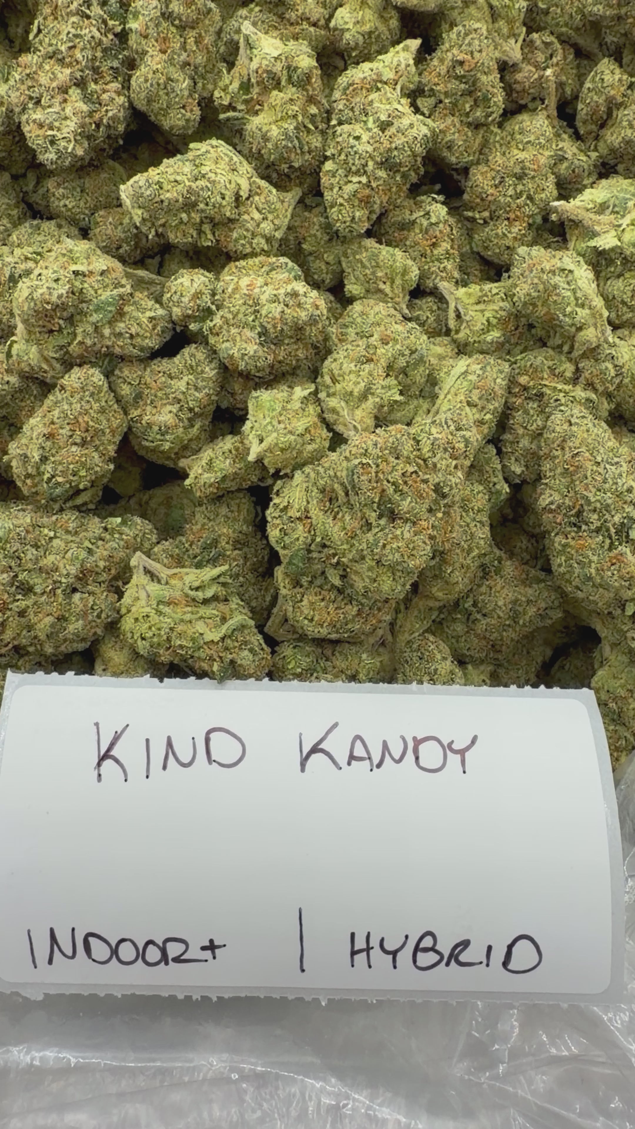 J Litty’s Weekly Deals!