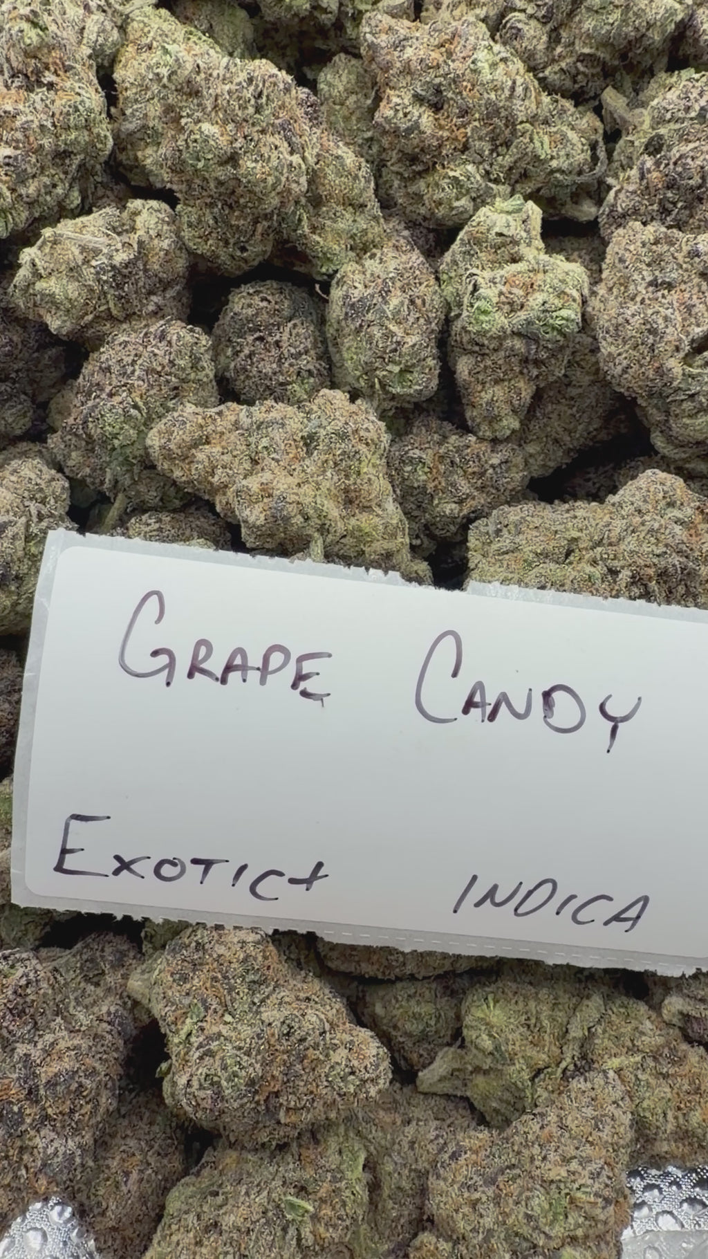 TOP SHELF EXOTICS
